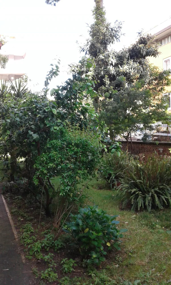 Bed & Breakfast Livinghouse