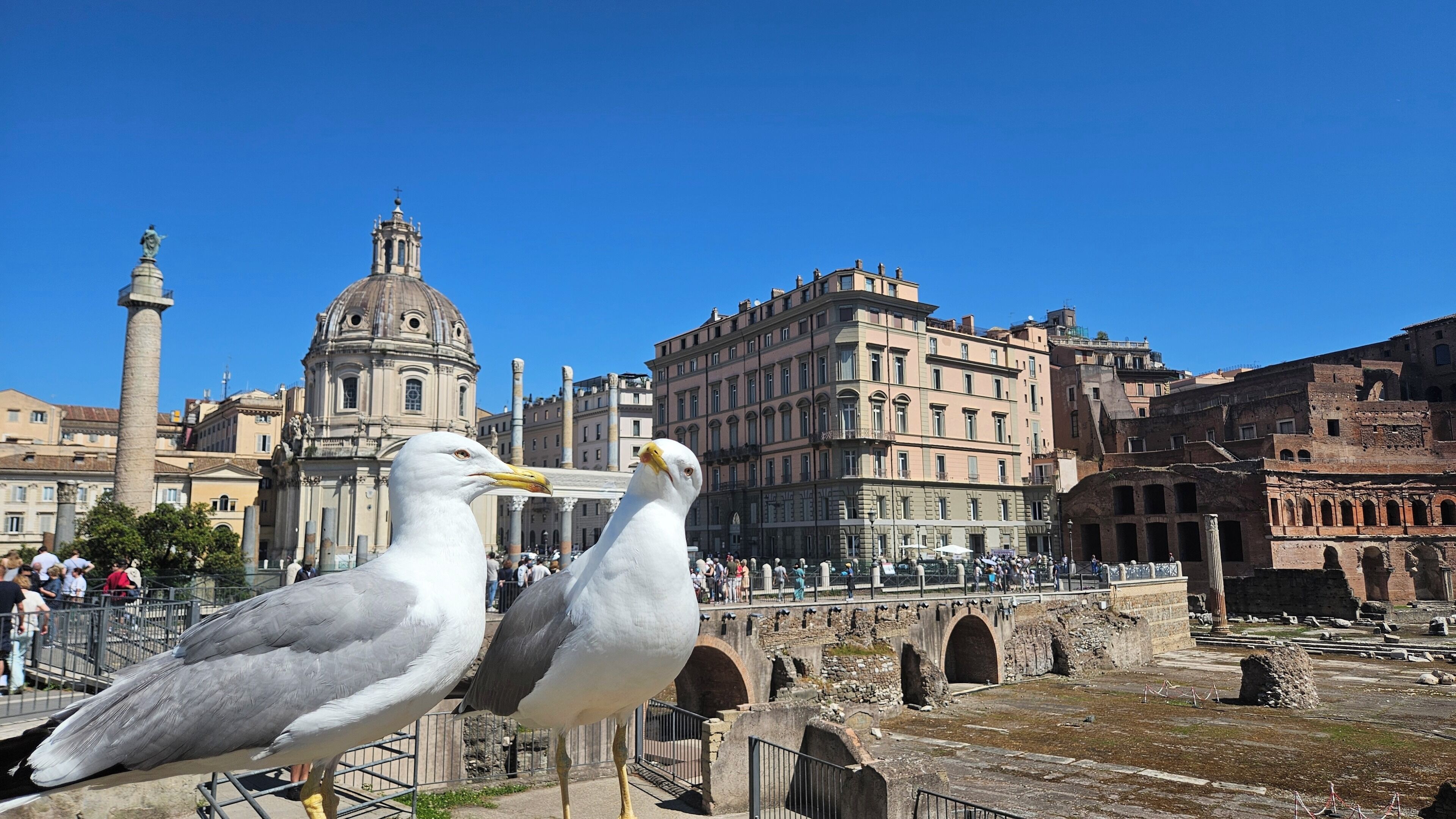 Cavour 1&2