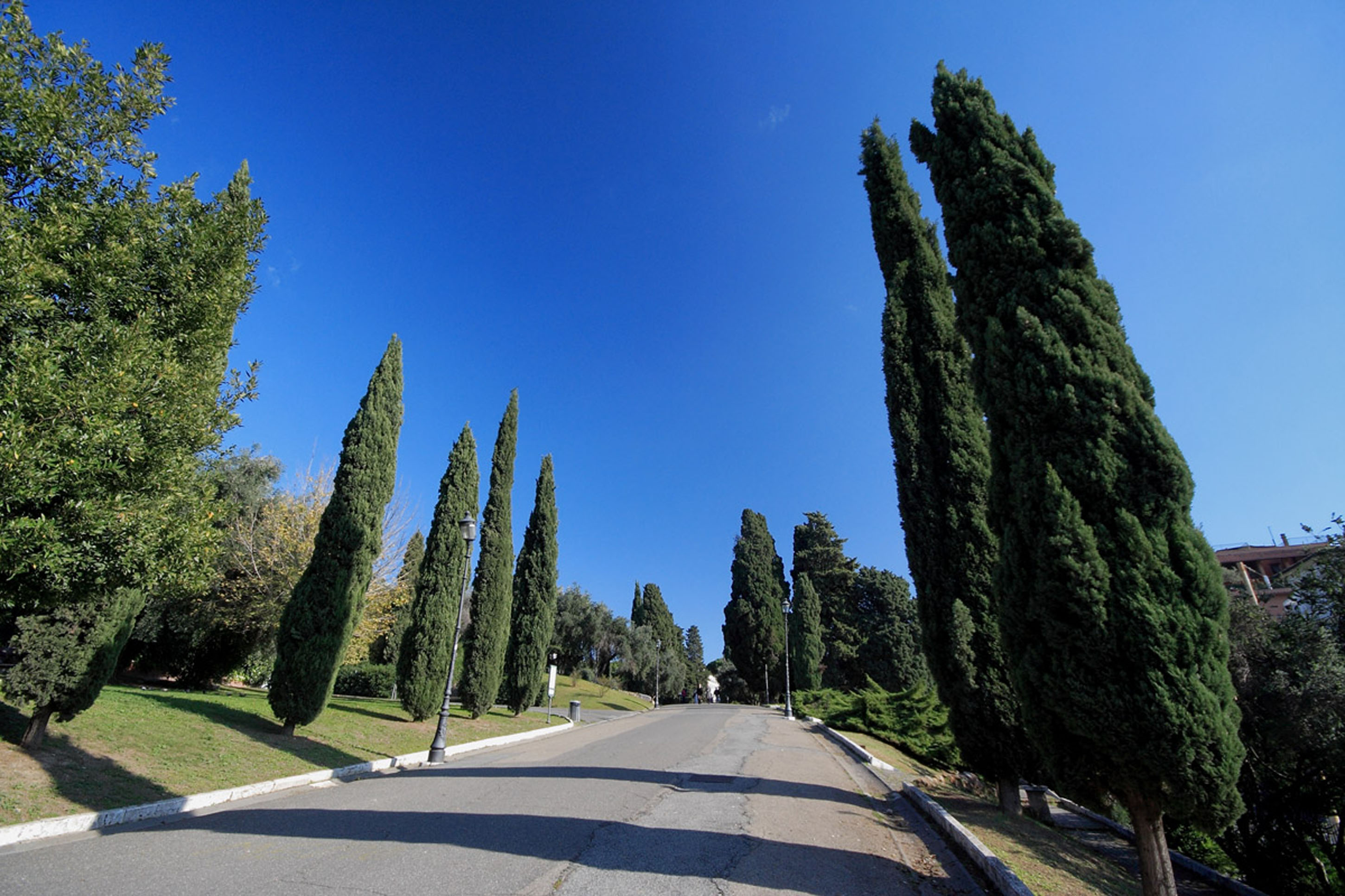 Colosseo Gardens