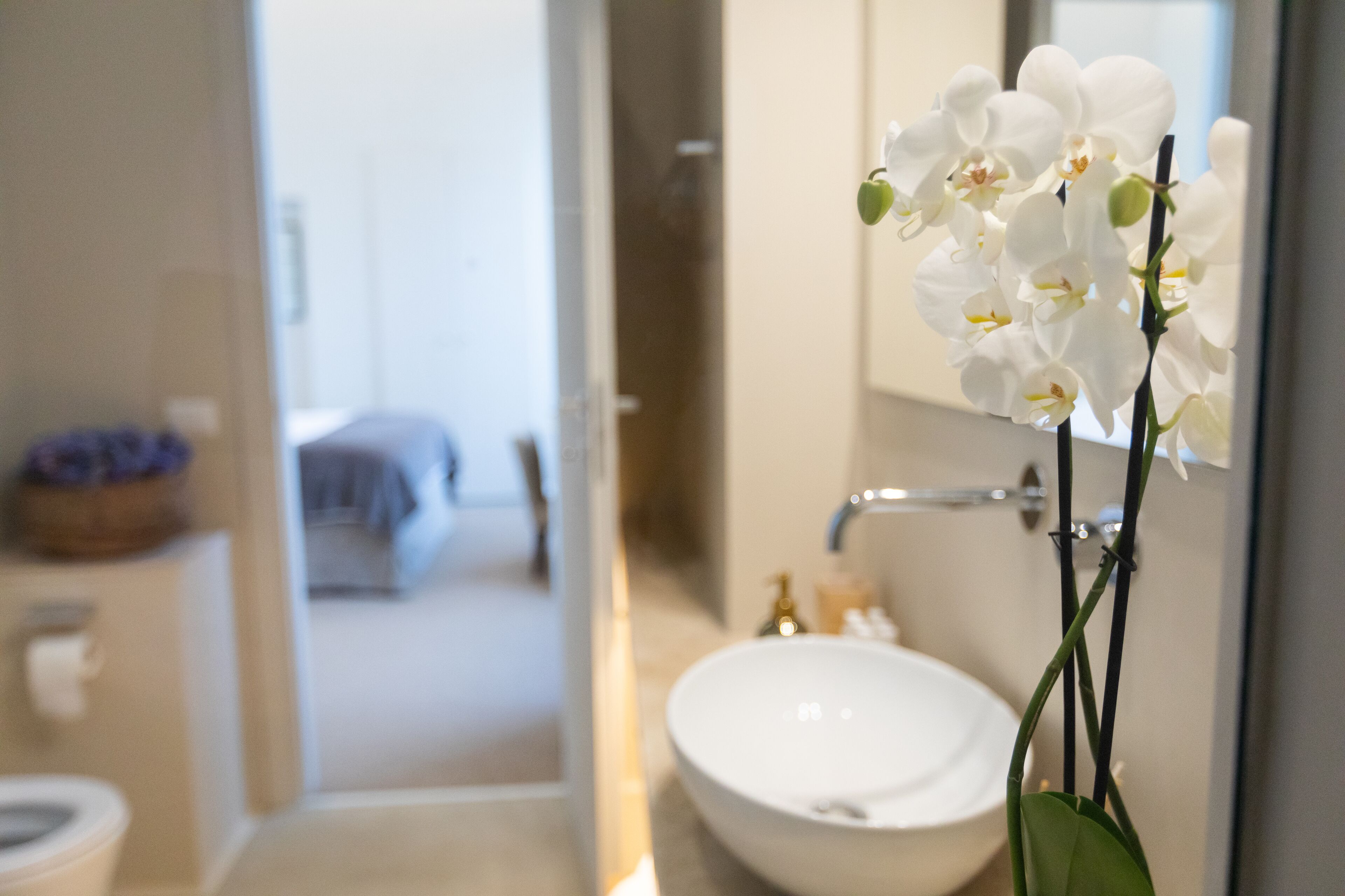Domus 21 Luxury Suites