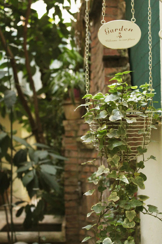 Domus Dea B&B