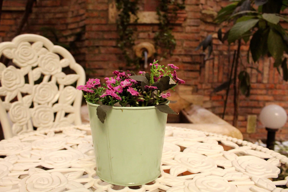 Domus Dea B&B