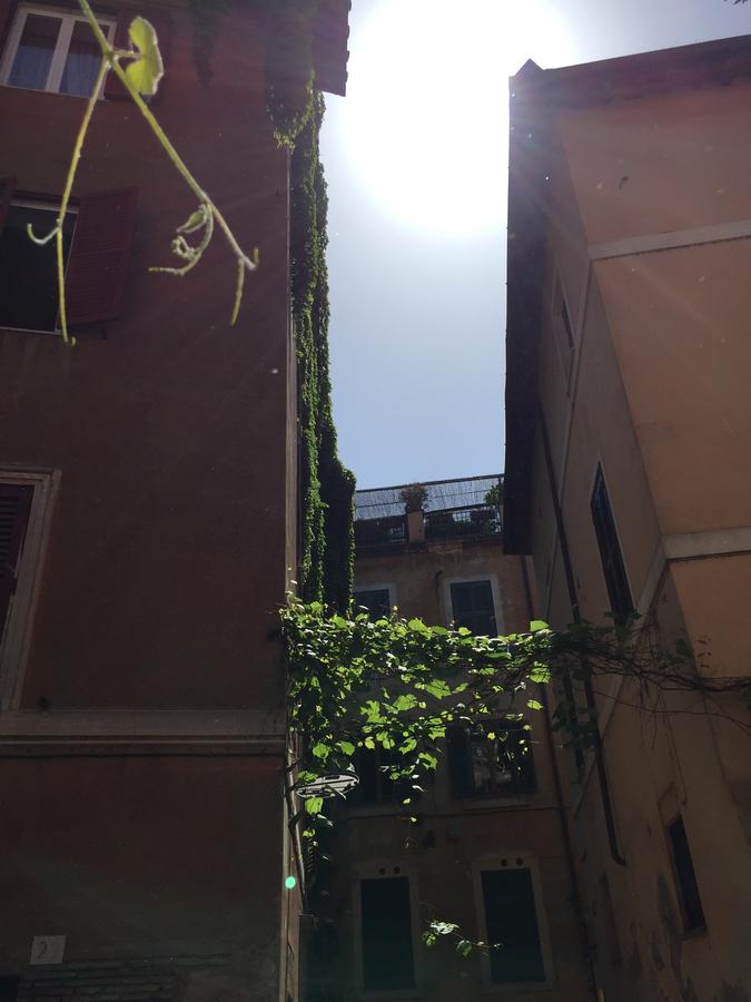 Domus Tiberina