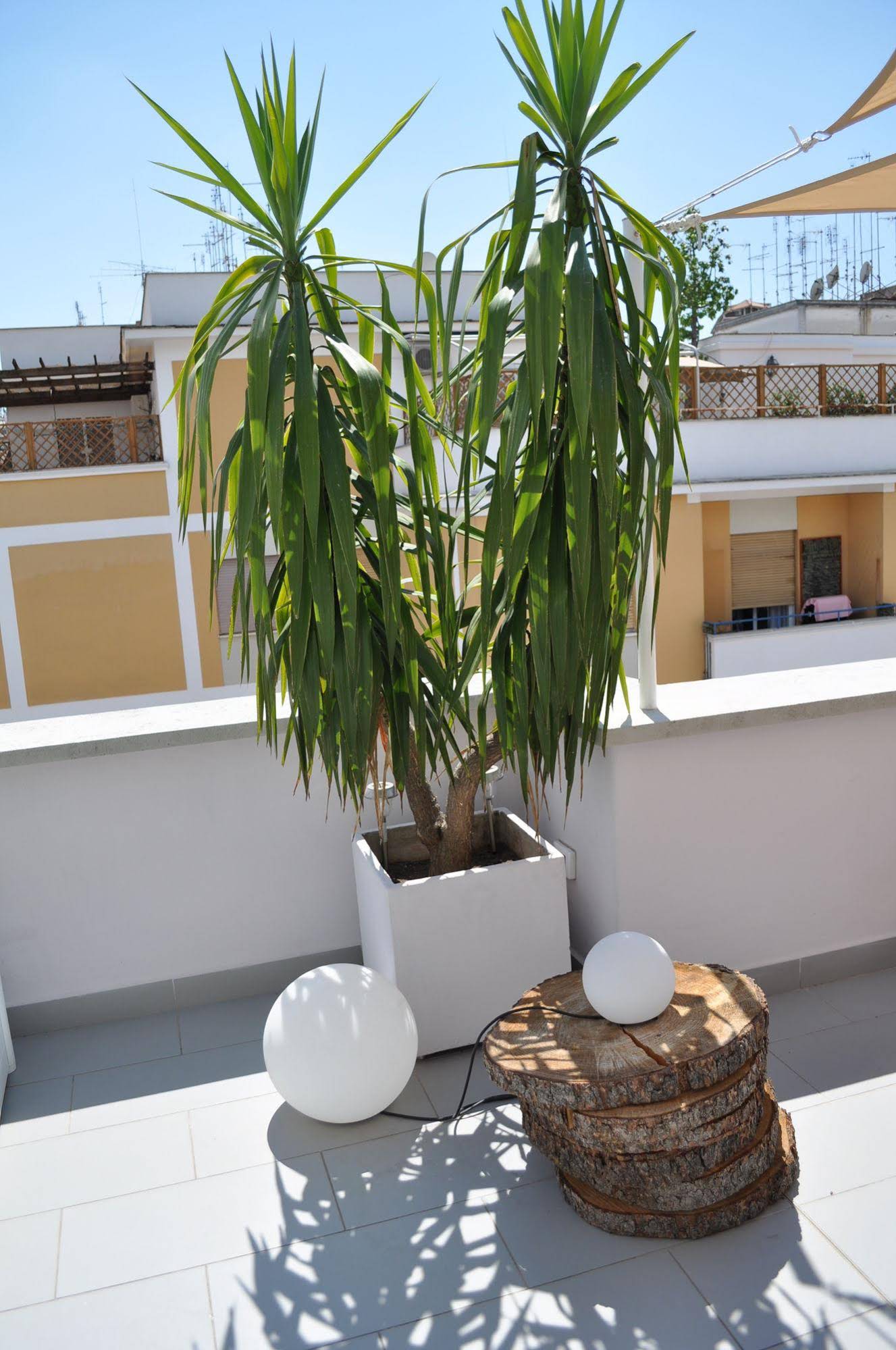 Glamroom Luxury Terrace