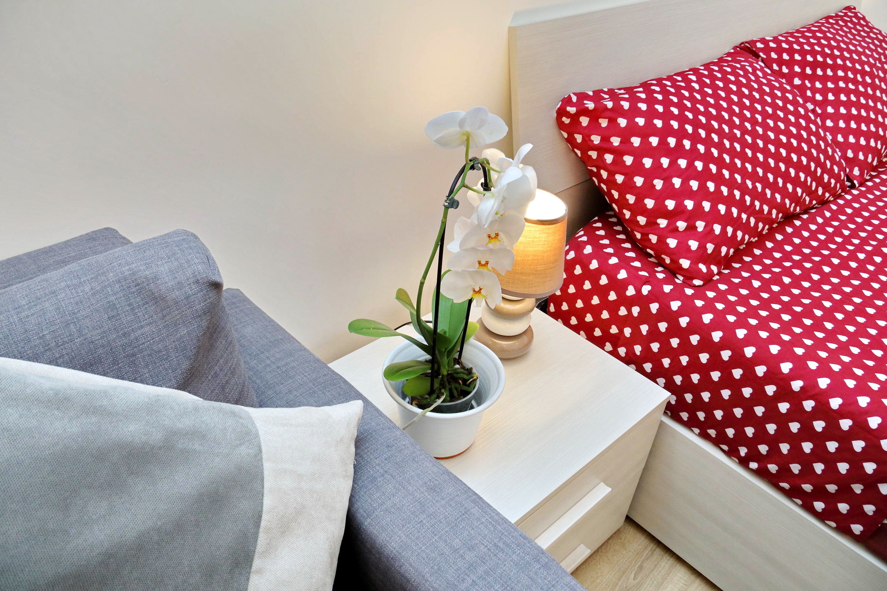 Holiday Rental San Lorenzo District
