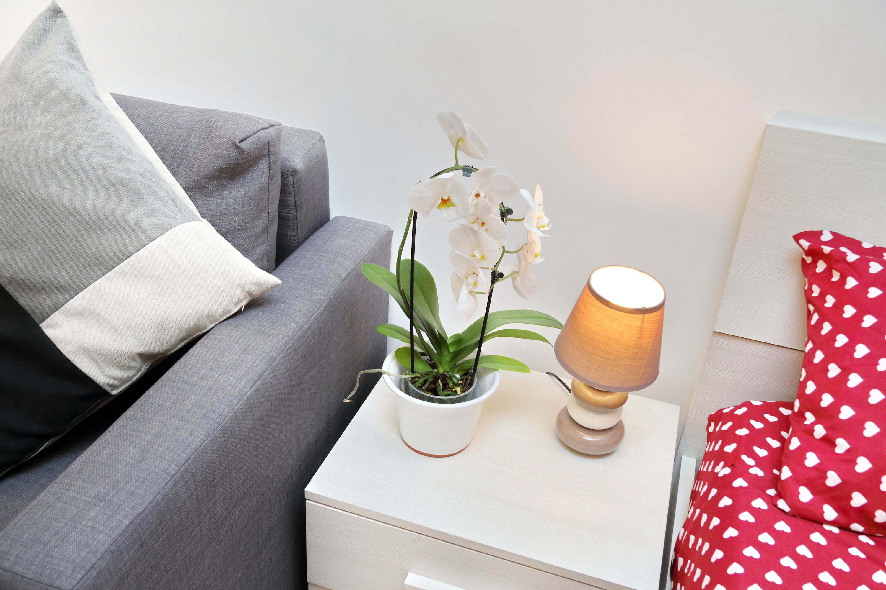 Holiday Rental San Lorenzo District