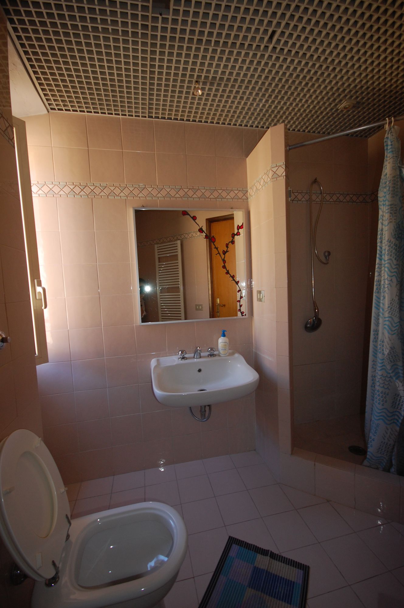 Hotel Alexis