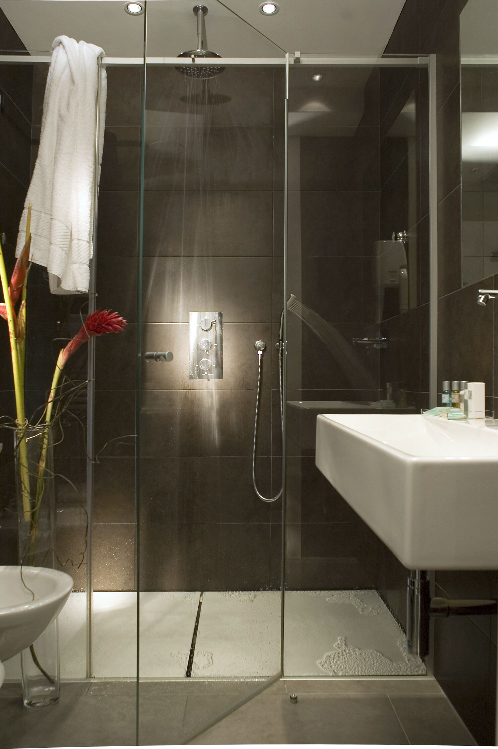 Hotel Alpi