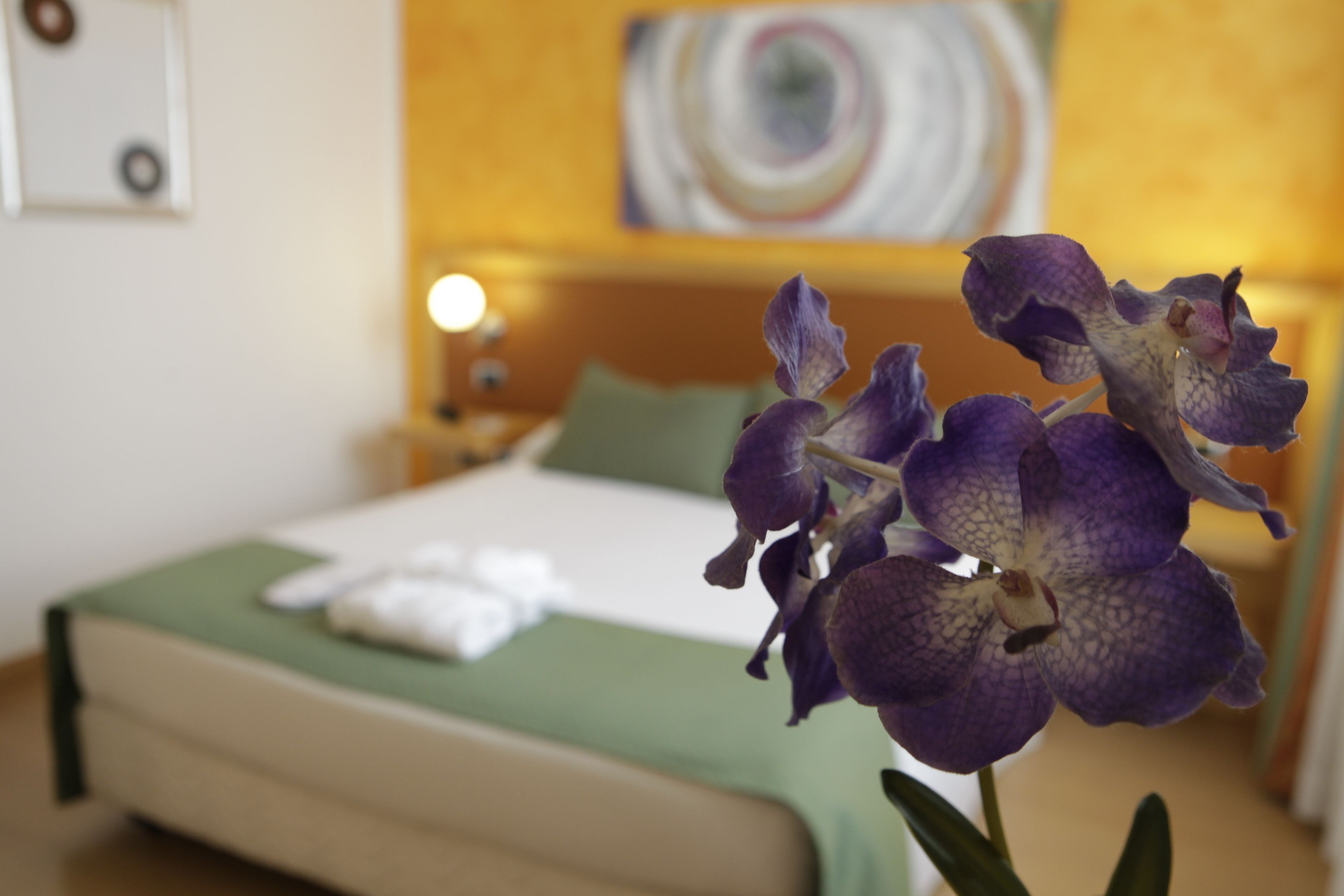 Ibis Styles Roma Vintage