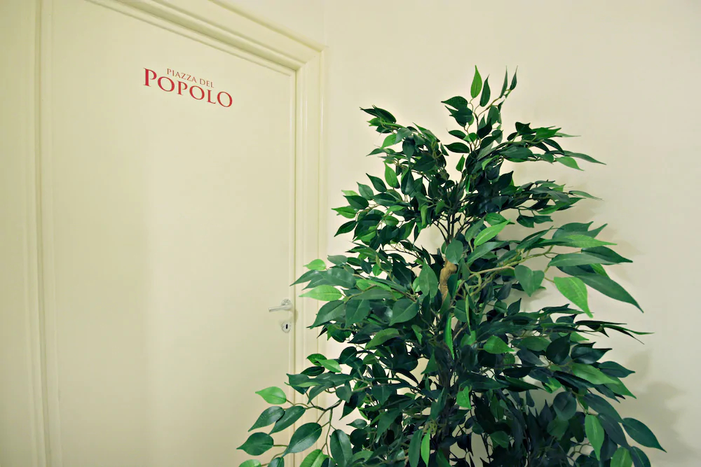 Le Piazze di Roma Bed & Breakfast