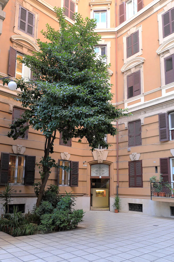 Mirko Luxury Inn
