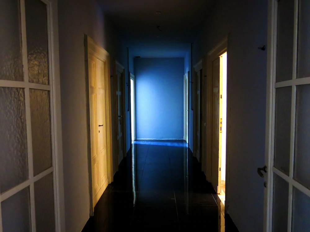 Nik House