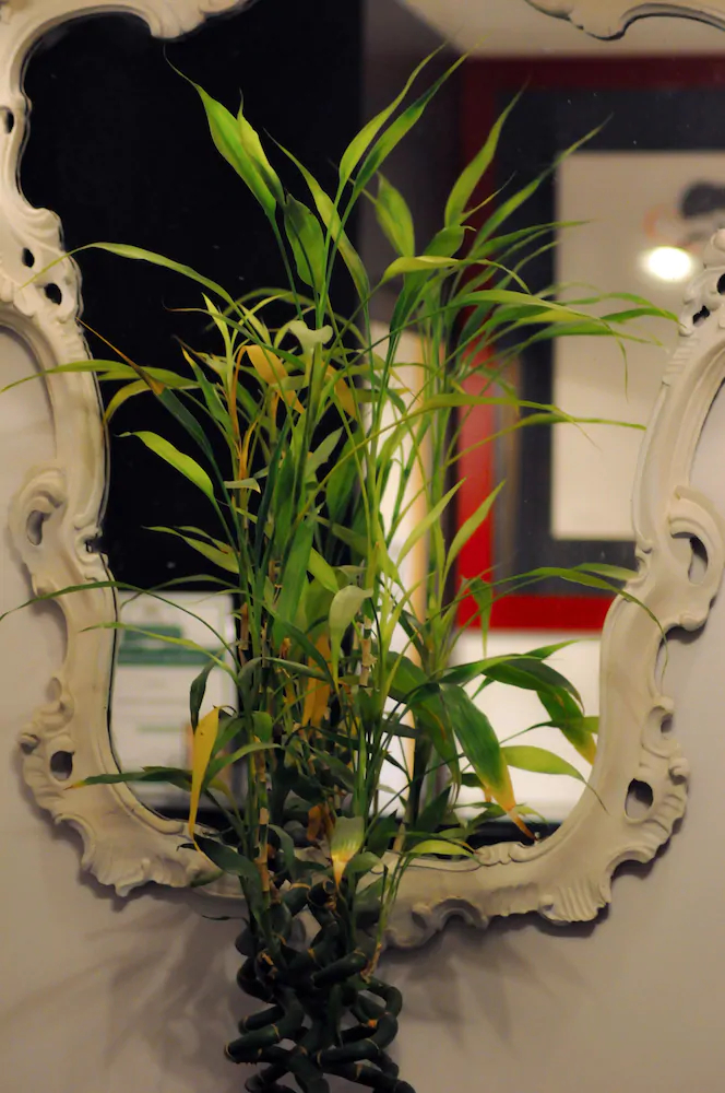 Relais Palazzo Taverna