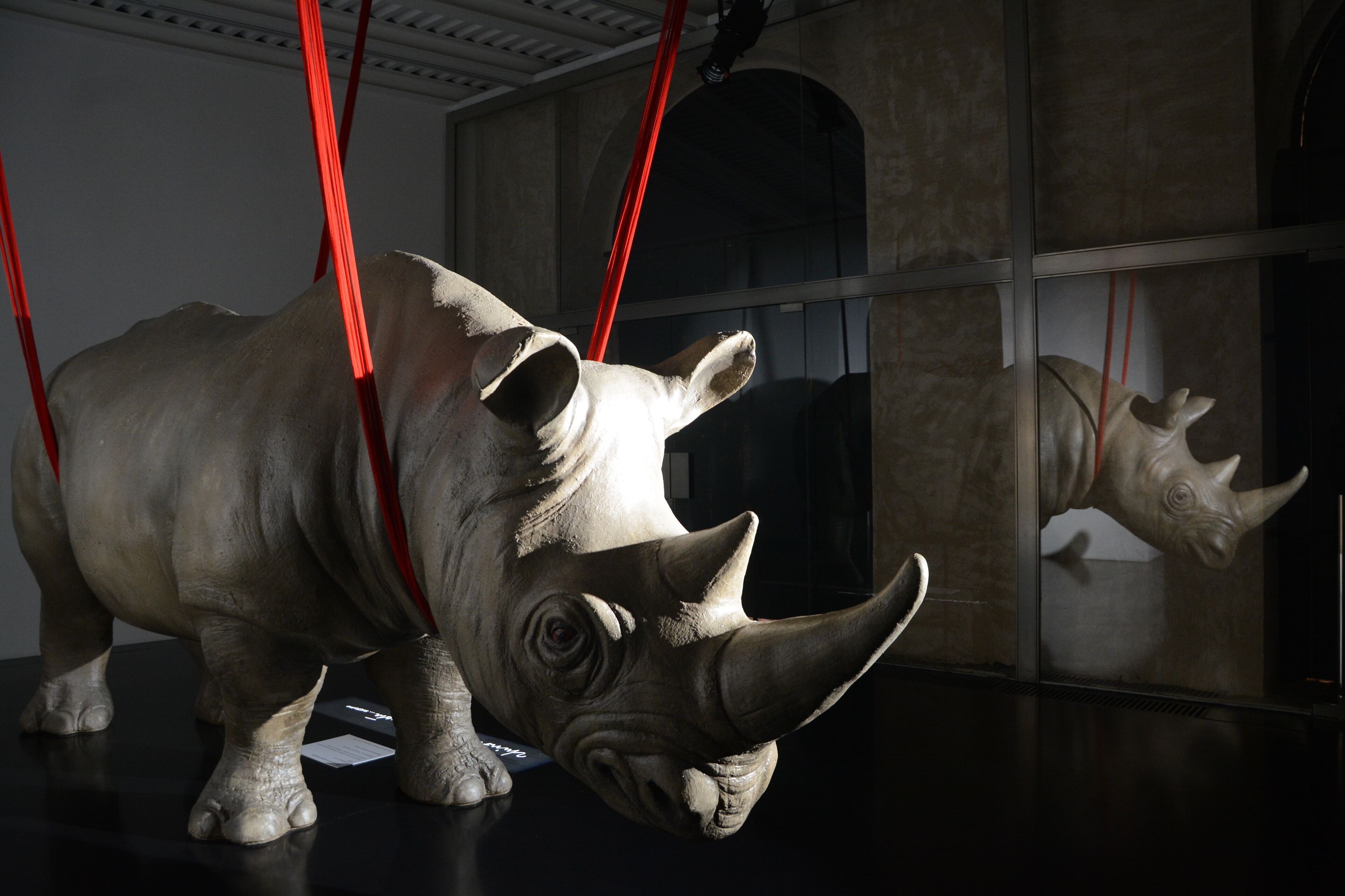 Rhinoceros by Fendi Rome