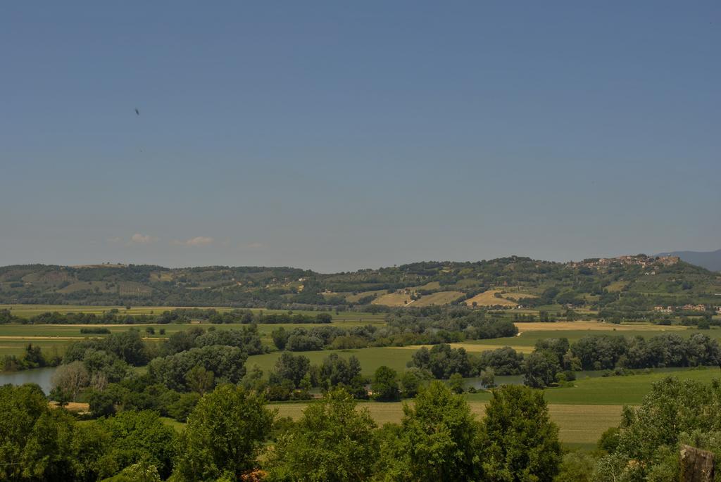 Roma Domus Hotel