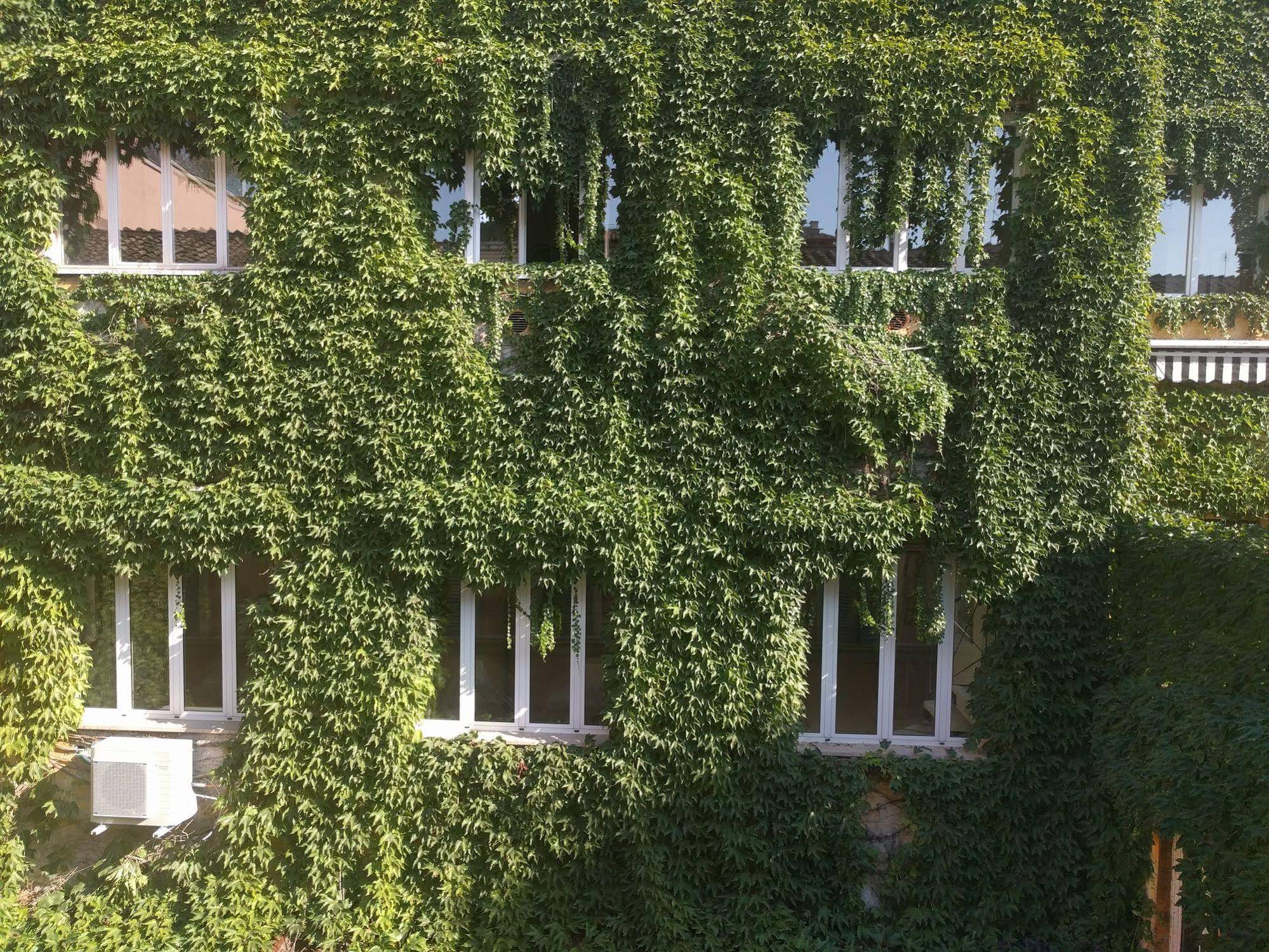 San Carlo