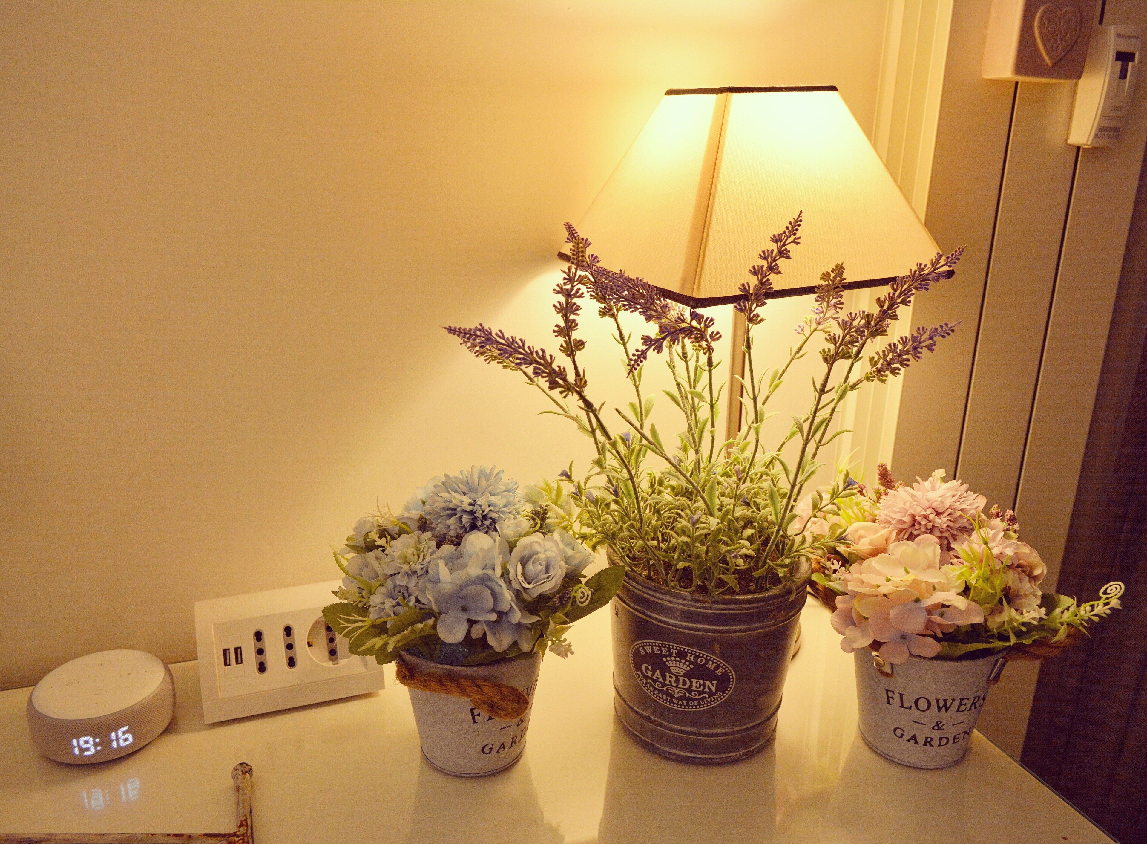 The Saint Guest House