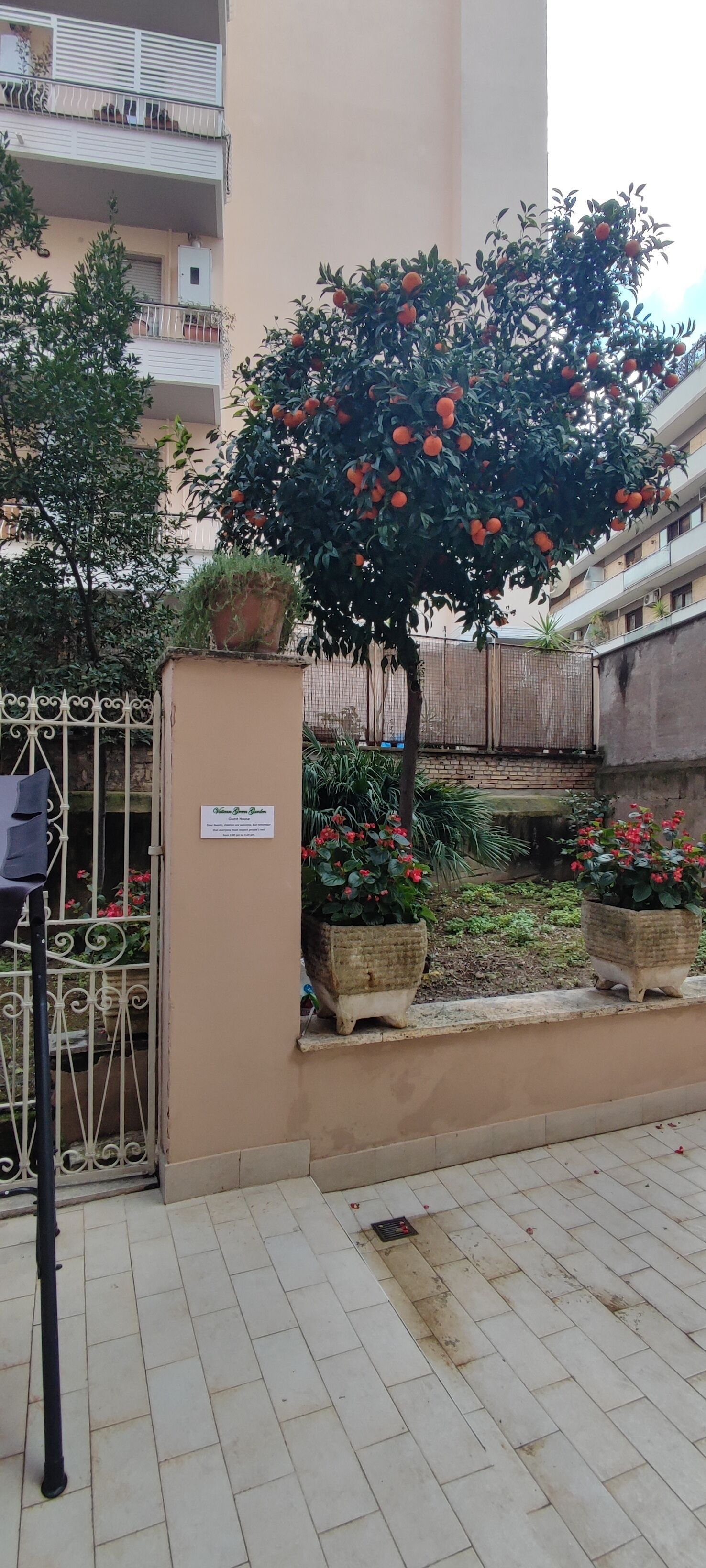 Vatican Green Garden