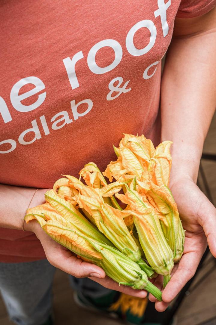 Dotcampus roma city center