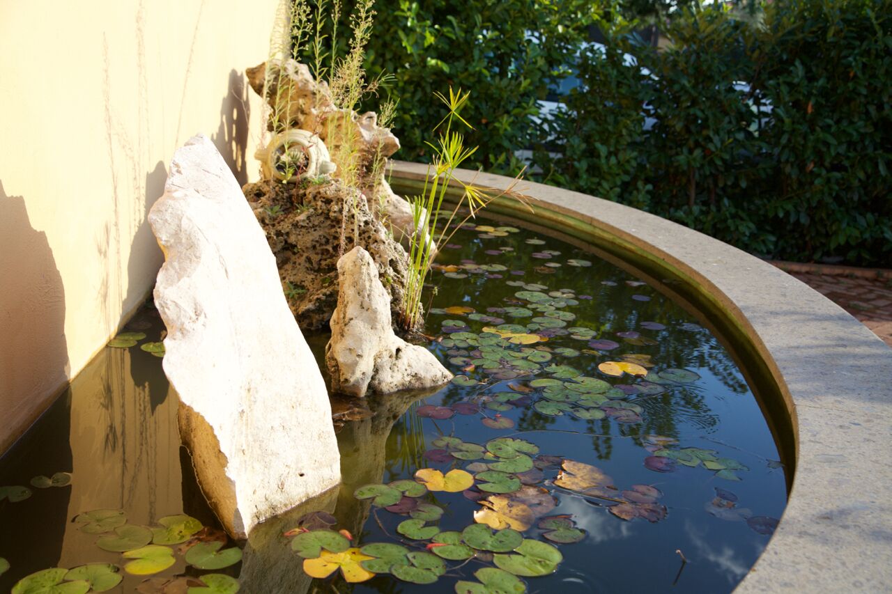 Agriturismo I Sapori dei Castelli Romani
