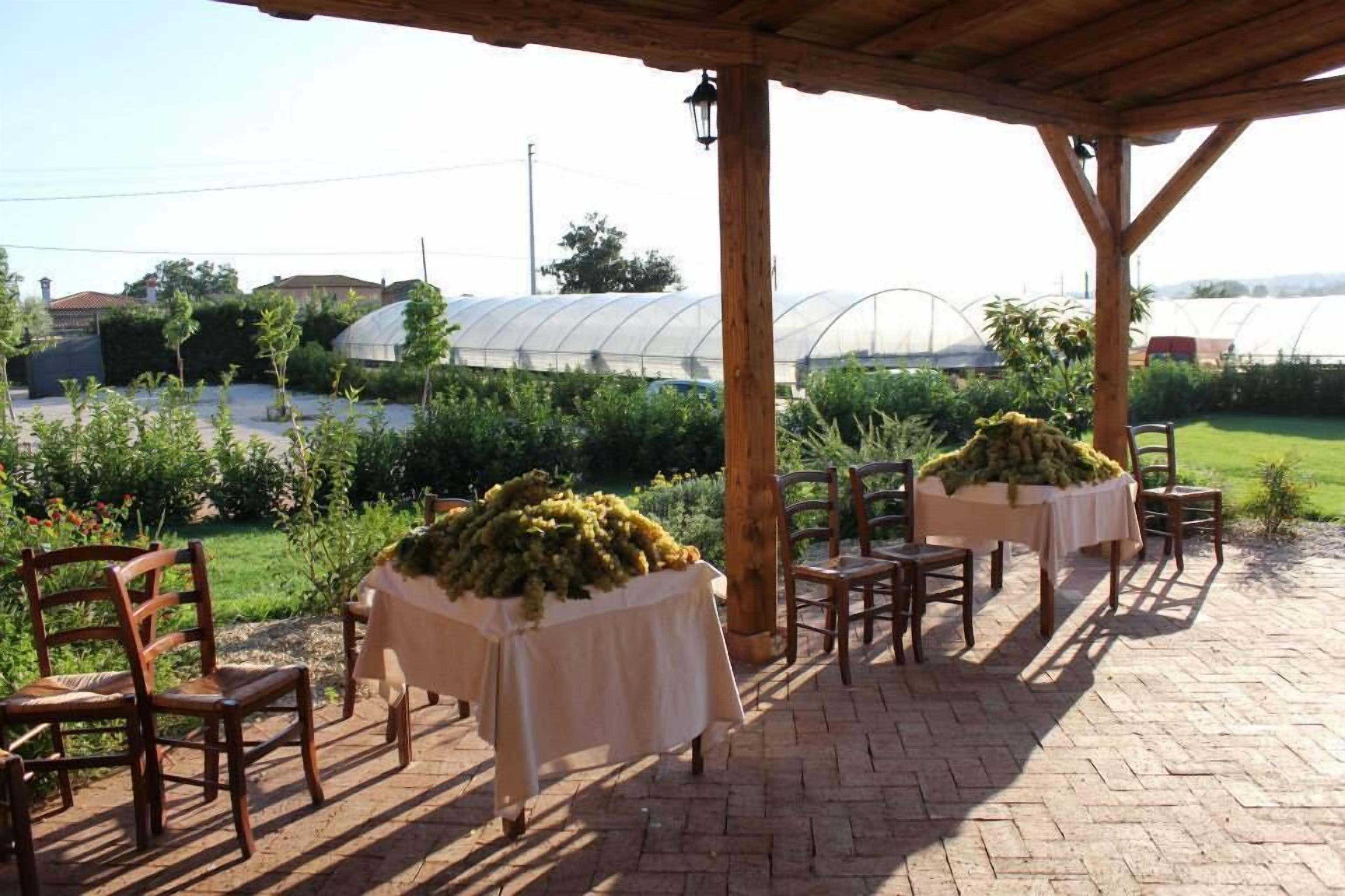 Agriturismo I Sapori dei Castelli Romani