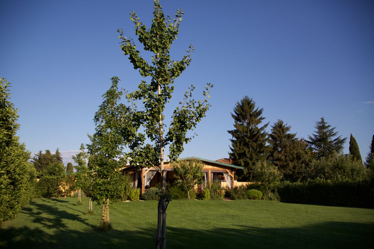 Agriturismo I Sapori dei Castelli Romani