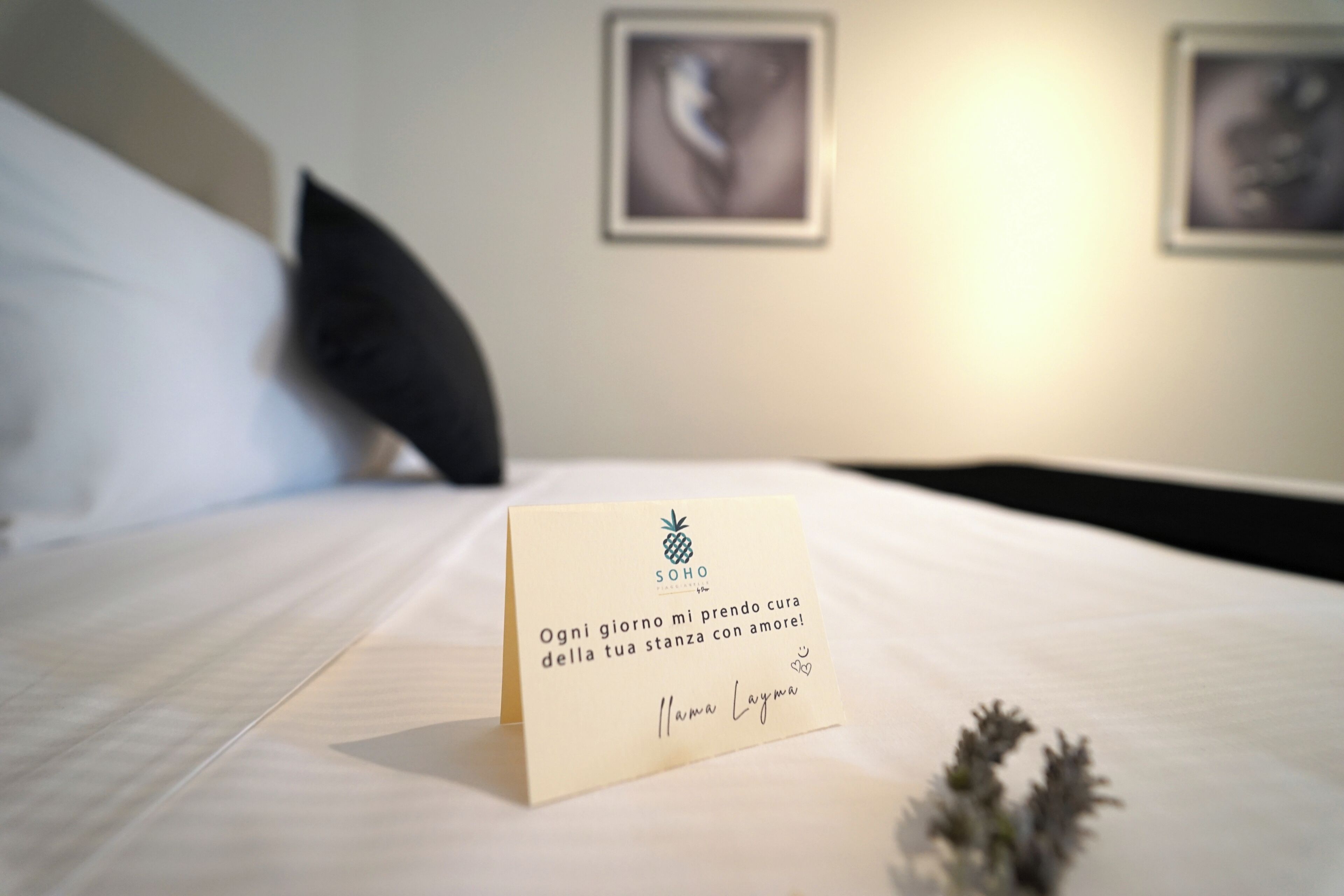 Soho Piaggiarelle By Dasso