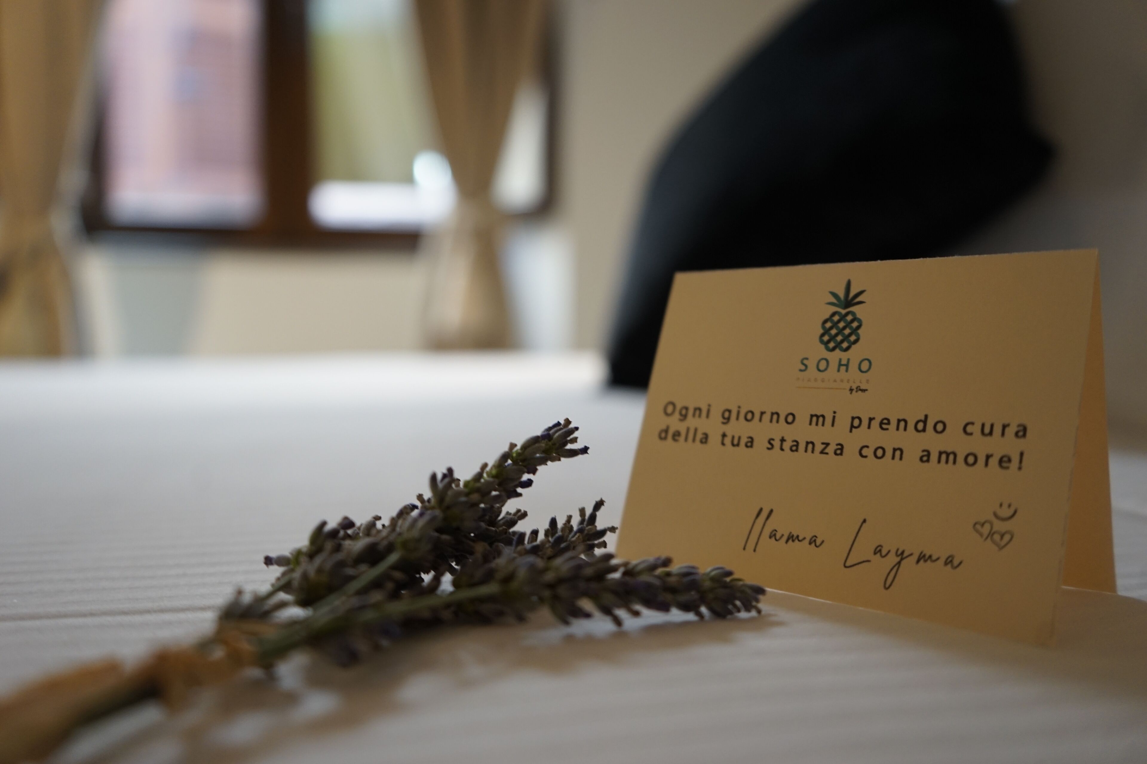 Soho Piaggiarelle By Dasso