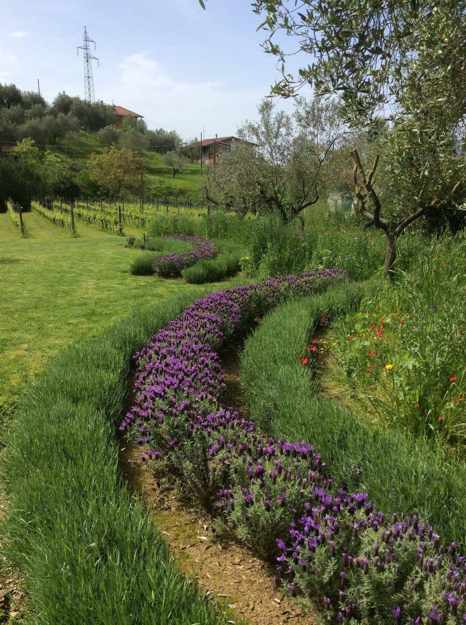 Agriturismo La Valle