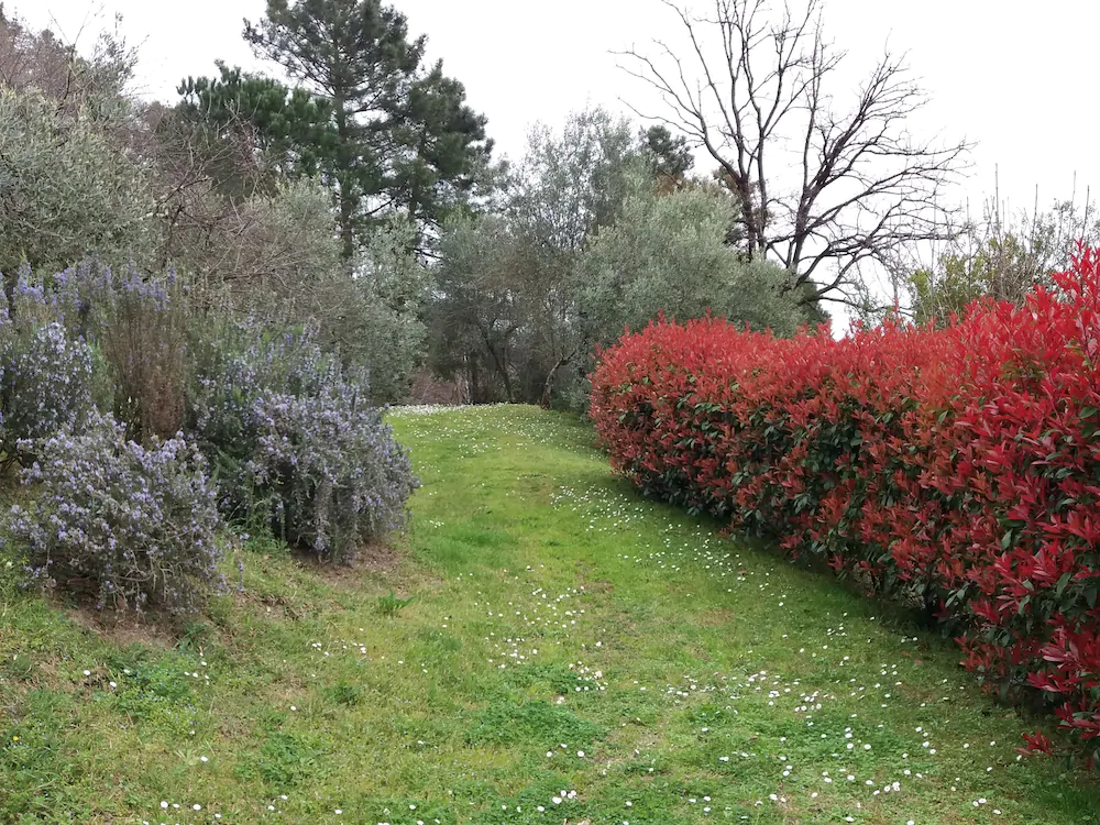 Casa Vacanze Colline Di Luni