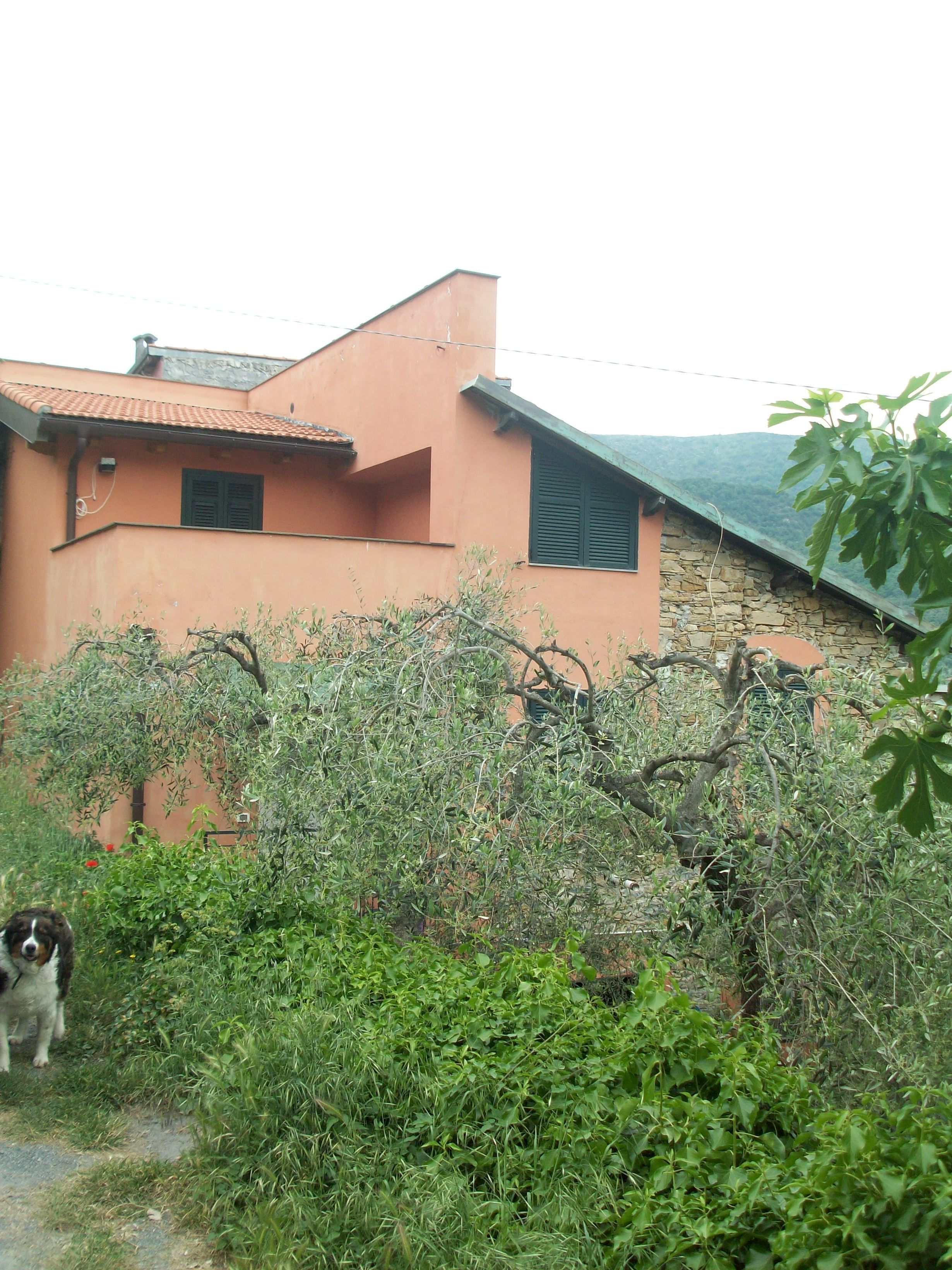 Piccolo rifugio nel Verde