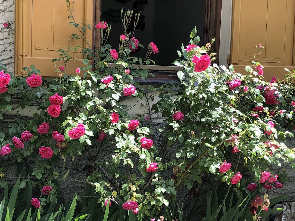 A O Soa B&B