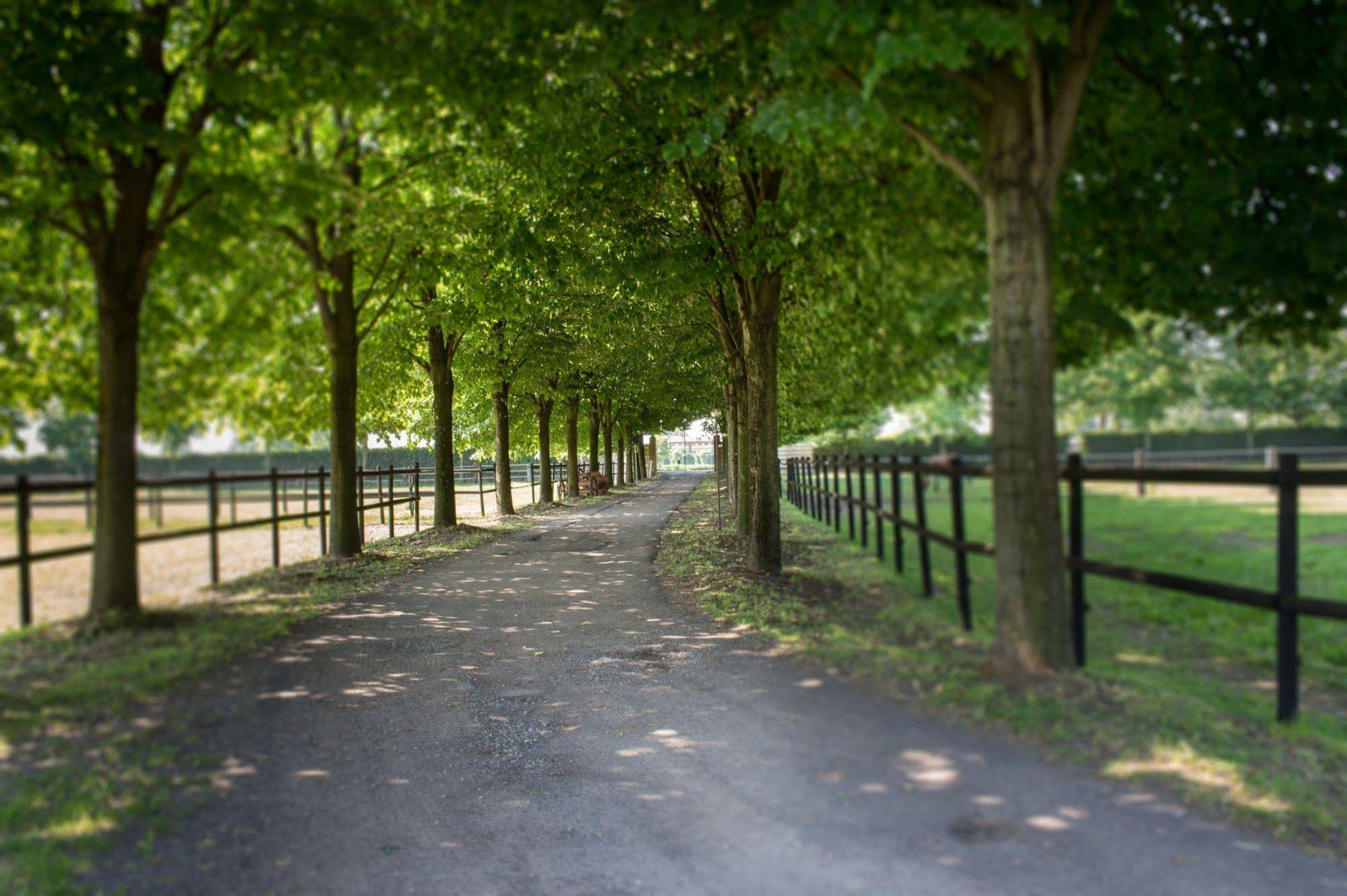 San Giacomo Horses & Agriturismo