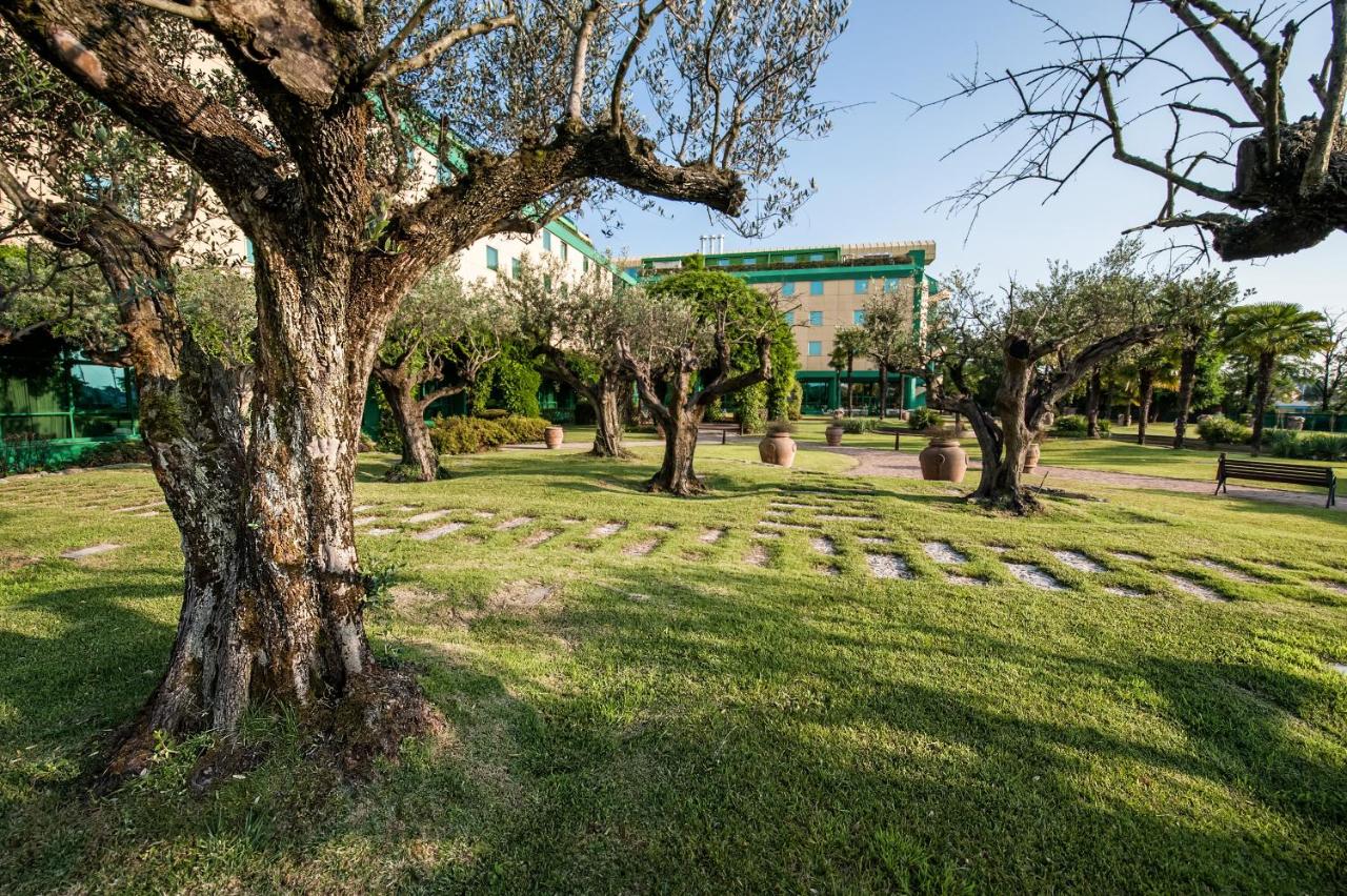 Royal Garden
