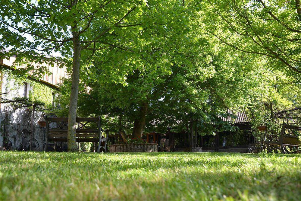 Agriturismo Torrazzetta