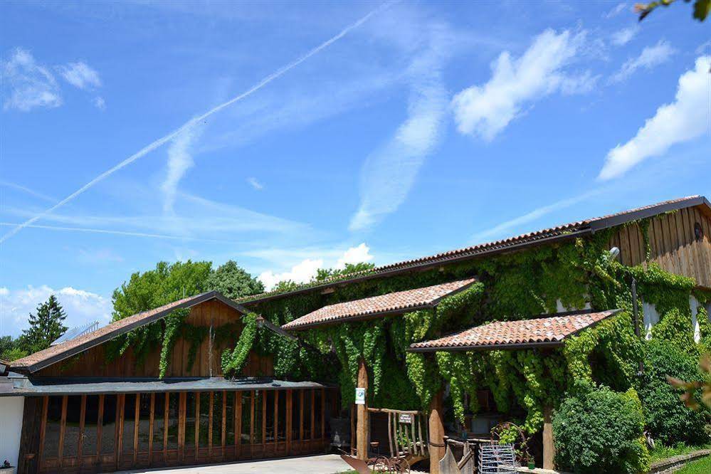 Agriturismo Torrazzetta