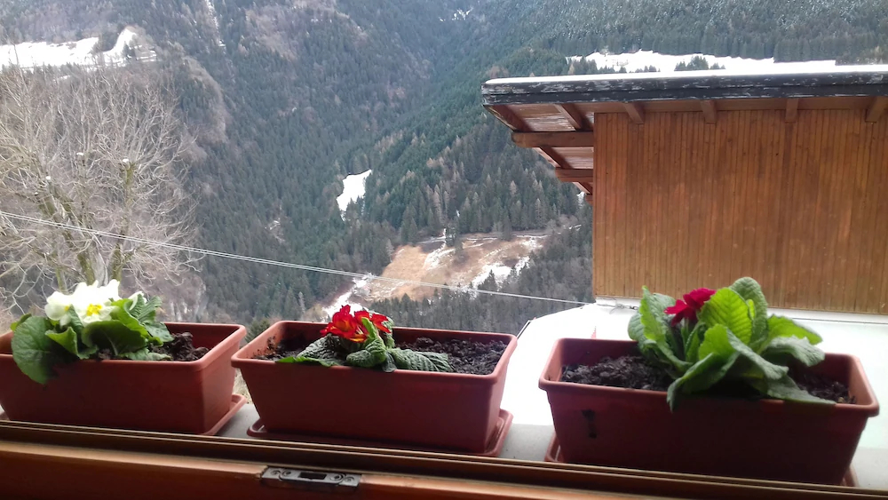 Mountain House Biancaverde