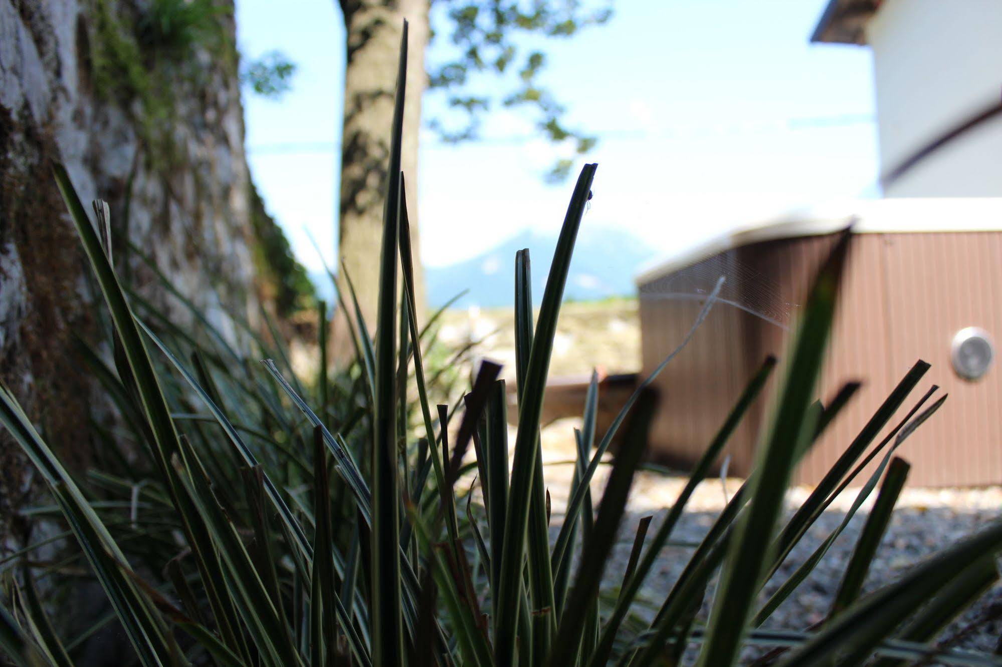 Essentia Guest House
