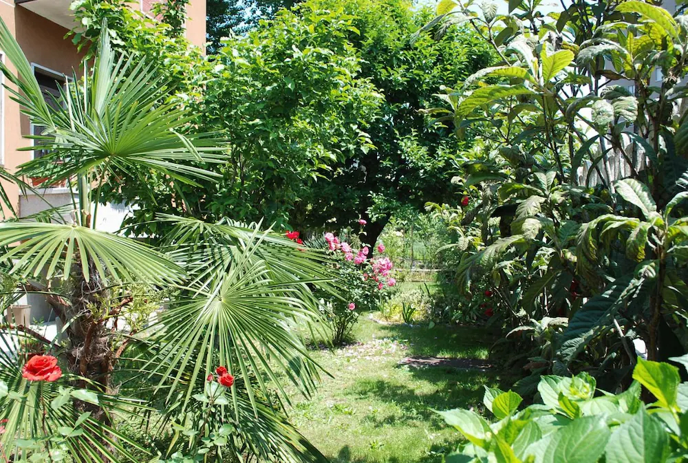 B&B D'Eco Milano