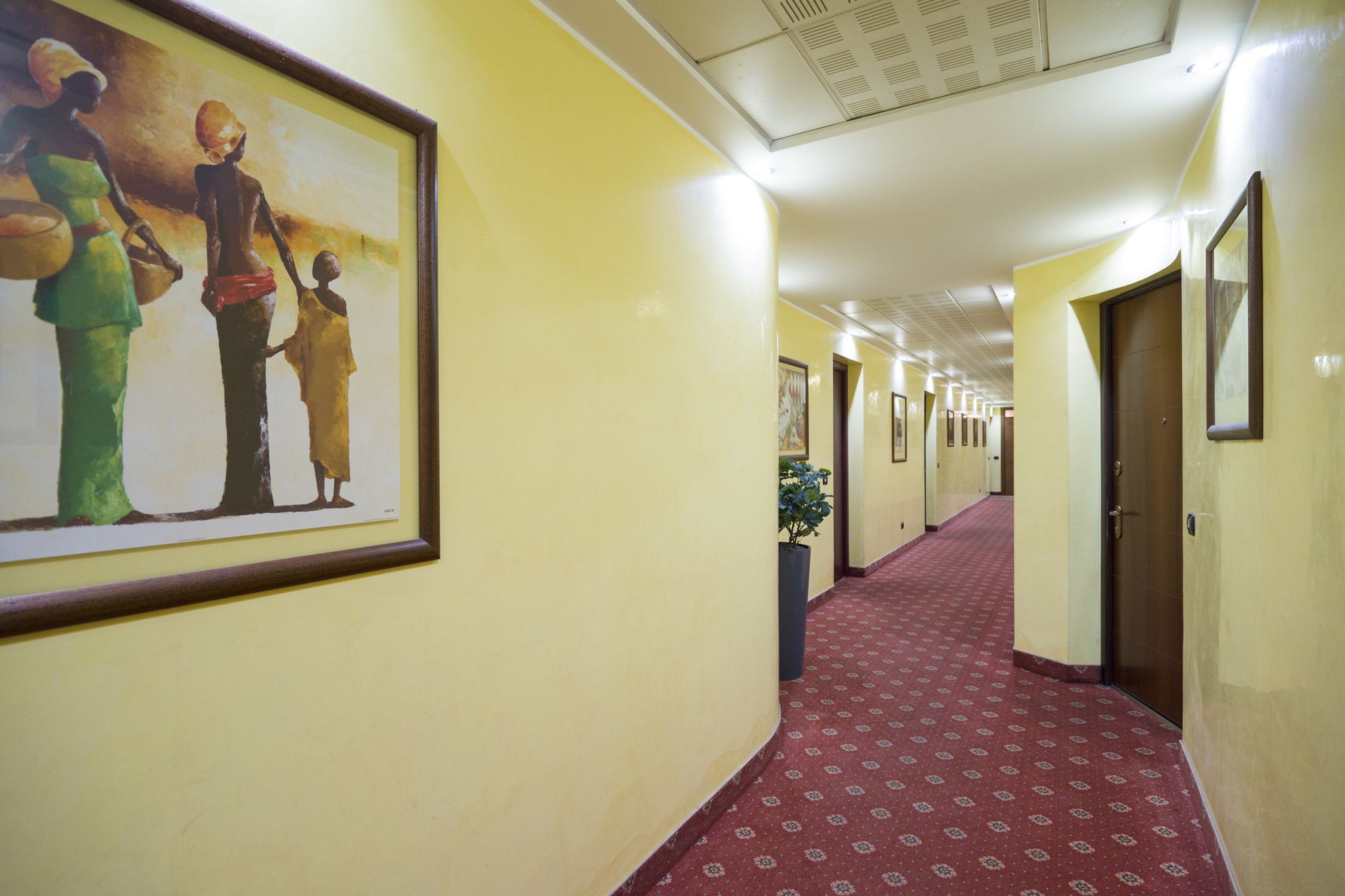 Cadona Center Studio