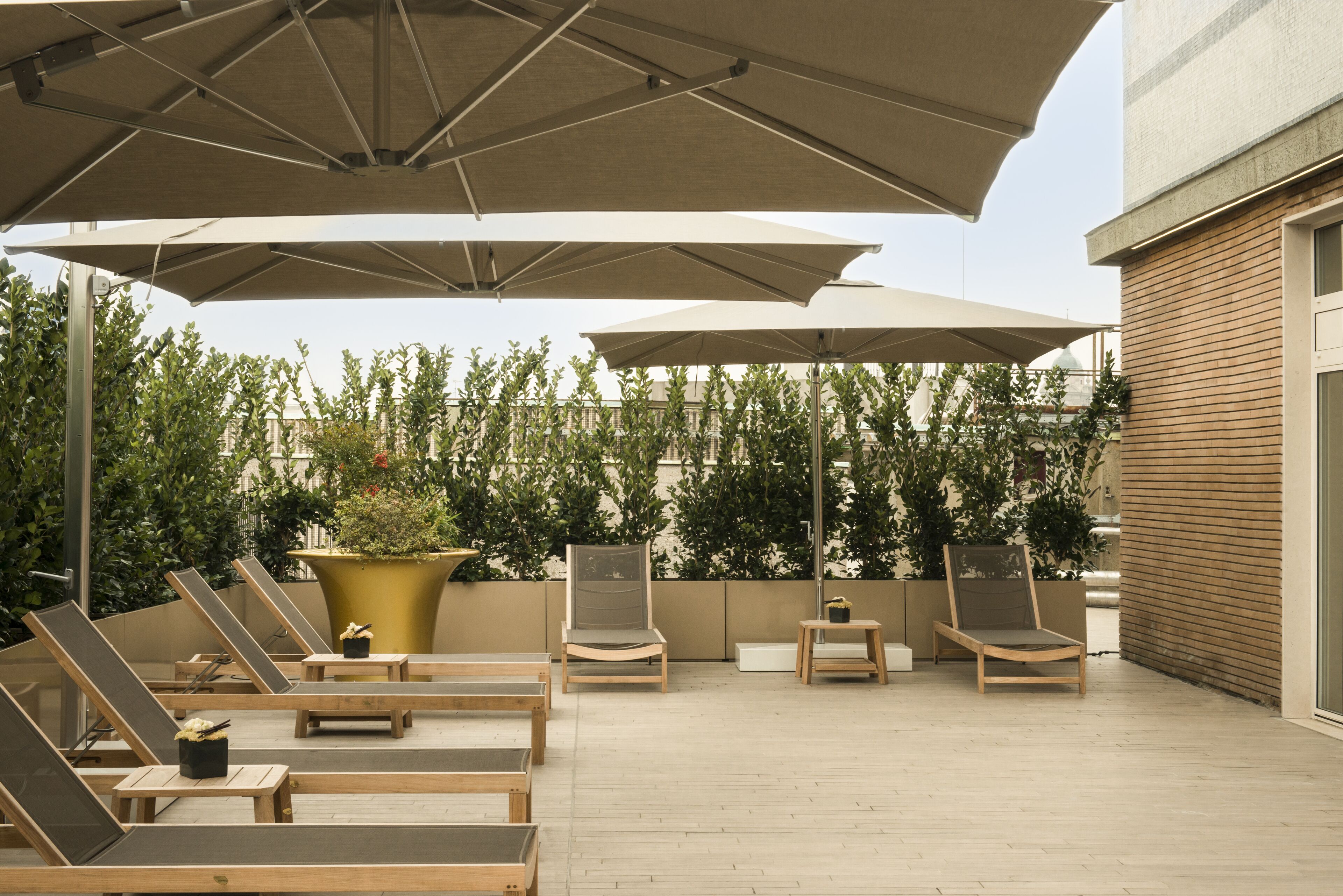 Rosa Grand Milano