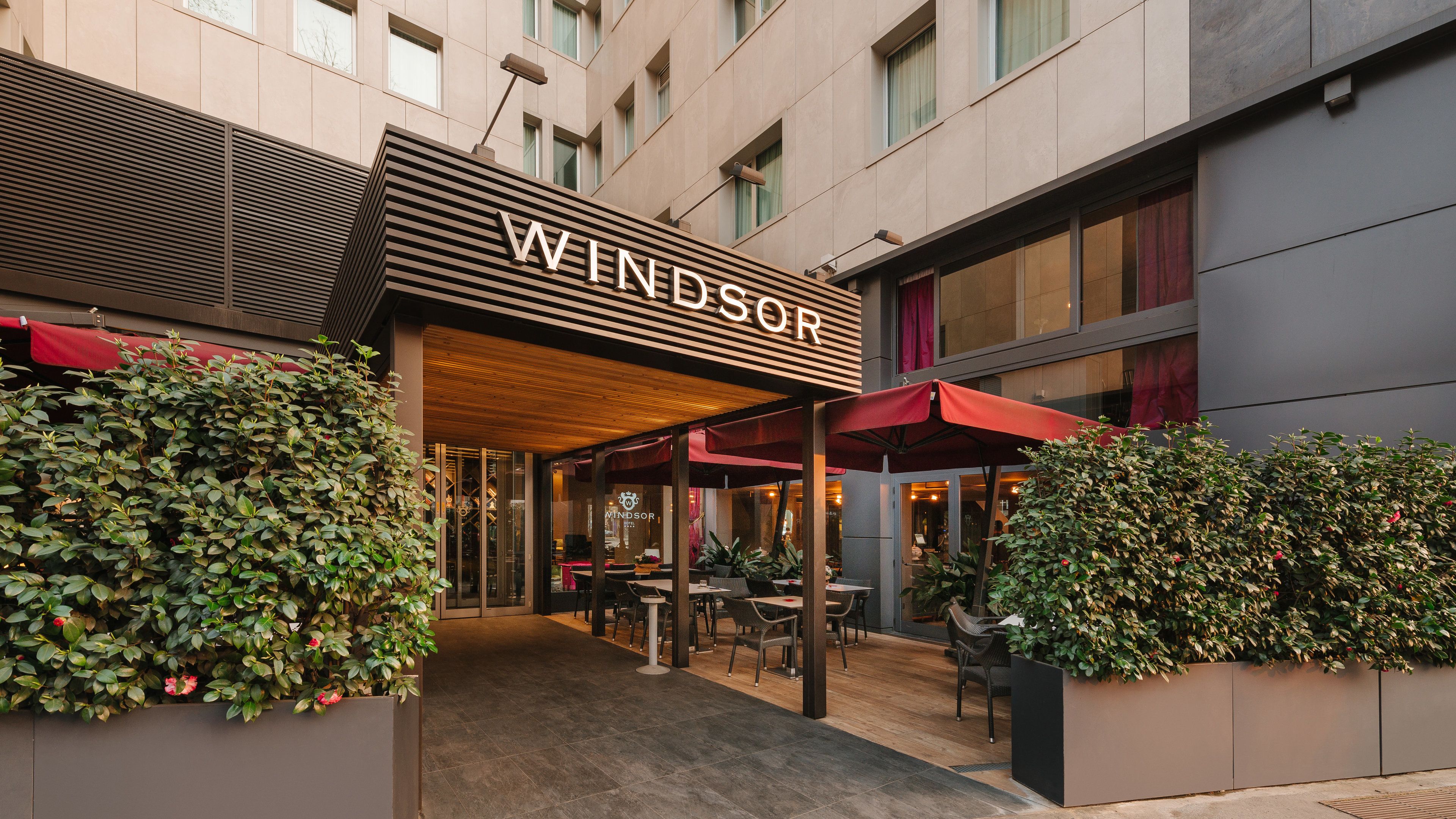 Windsor