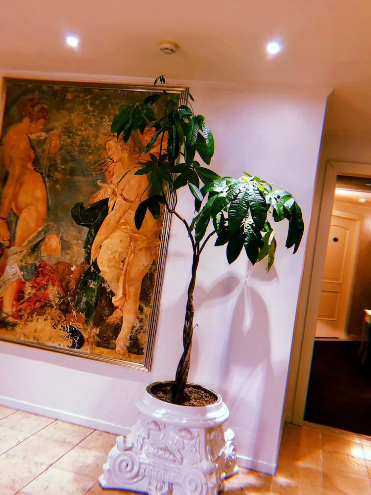 Europa Motel