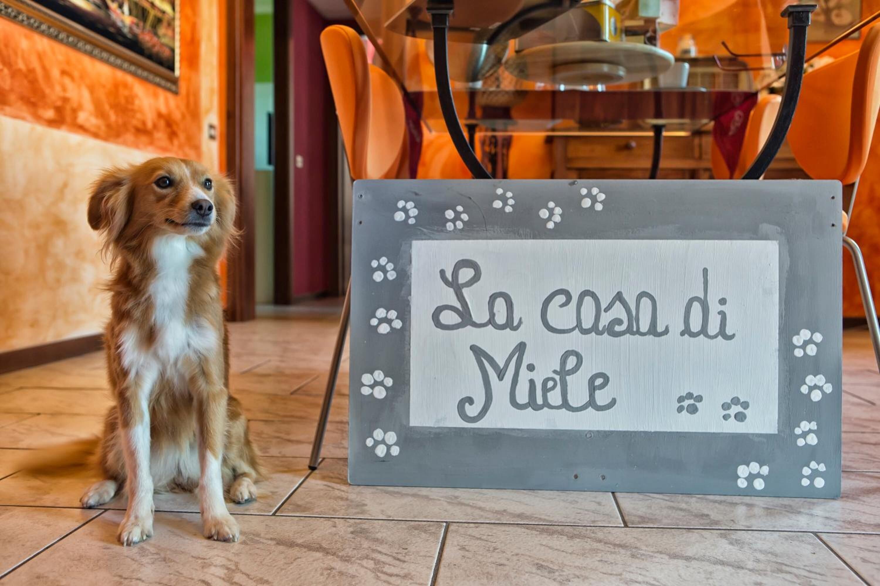 B&B La Casa di Miele