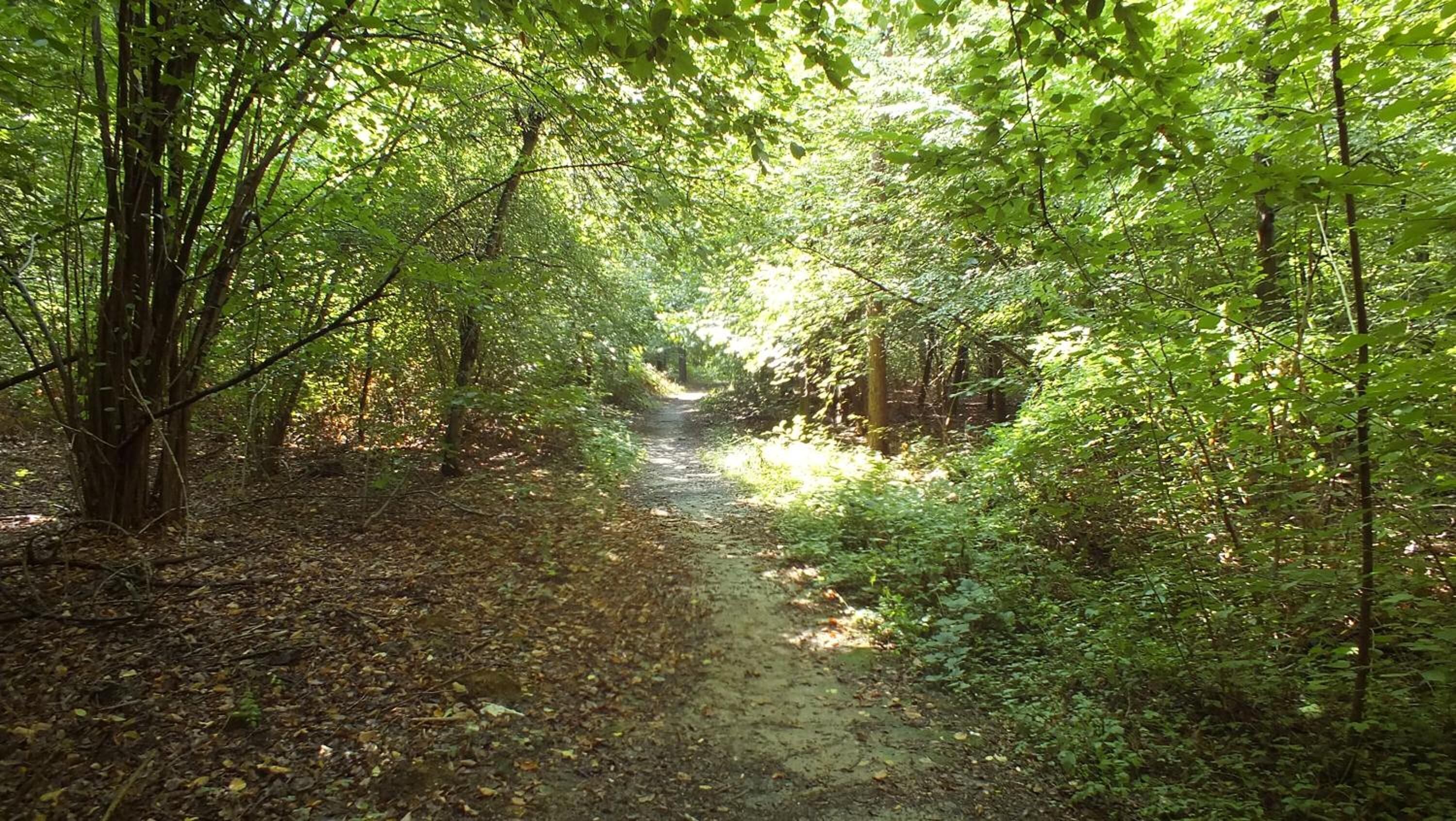 B&B La Casa di Miele