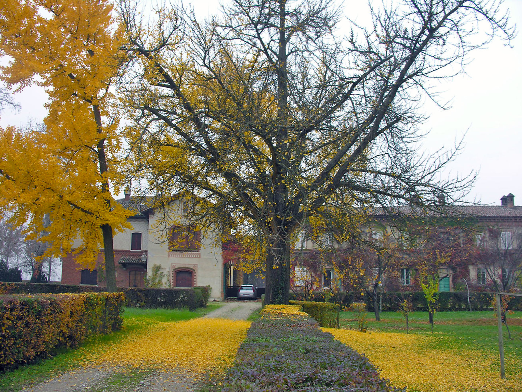 Villa La marchesina