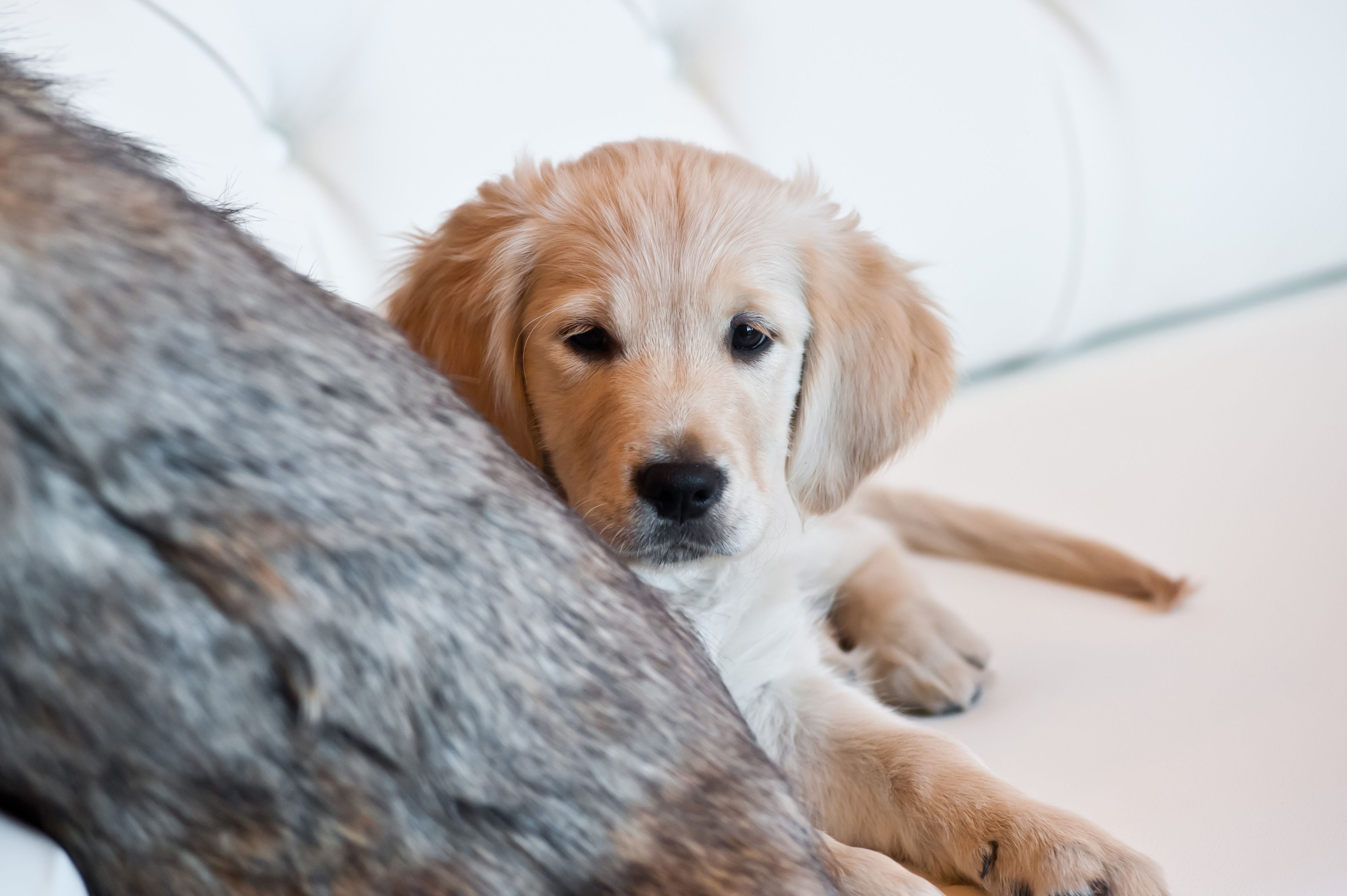 Grand Hotel Villa Torretta