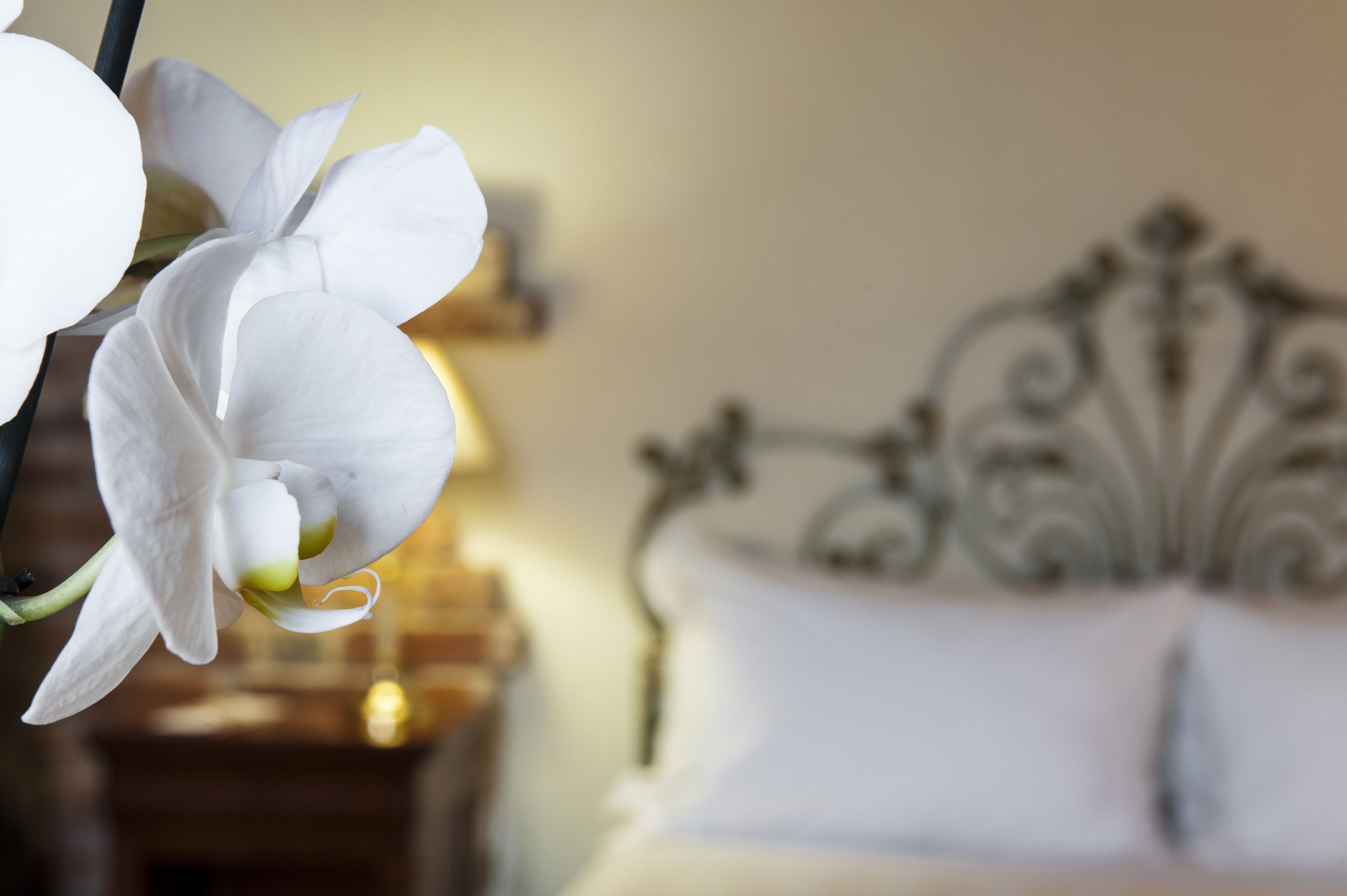 Grand Hotel Villa Torretta