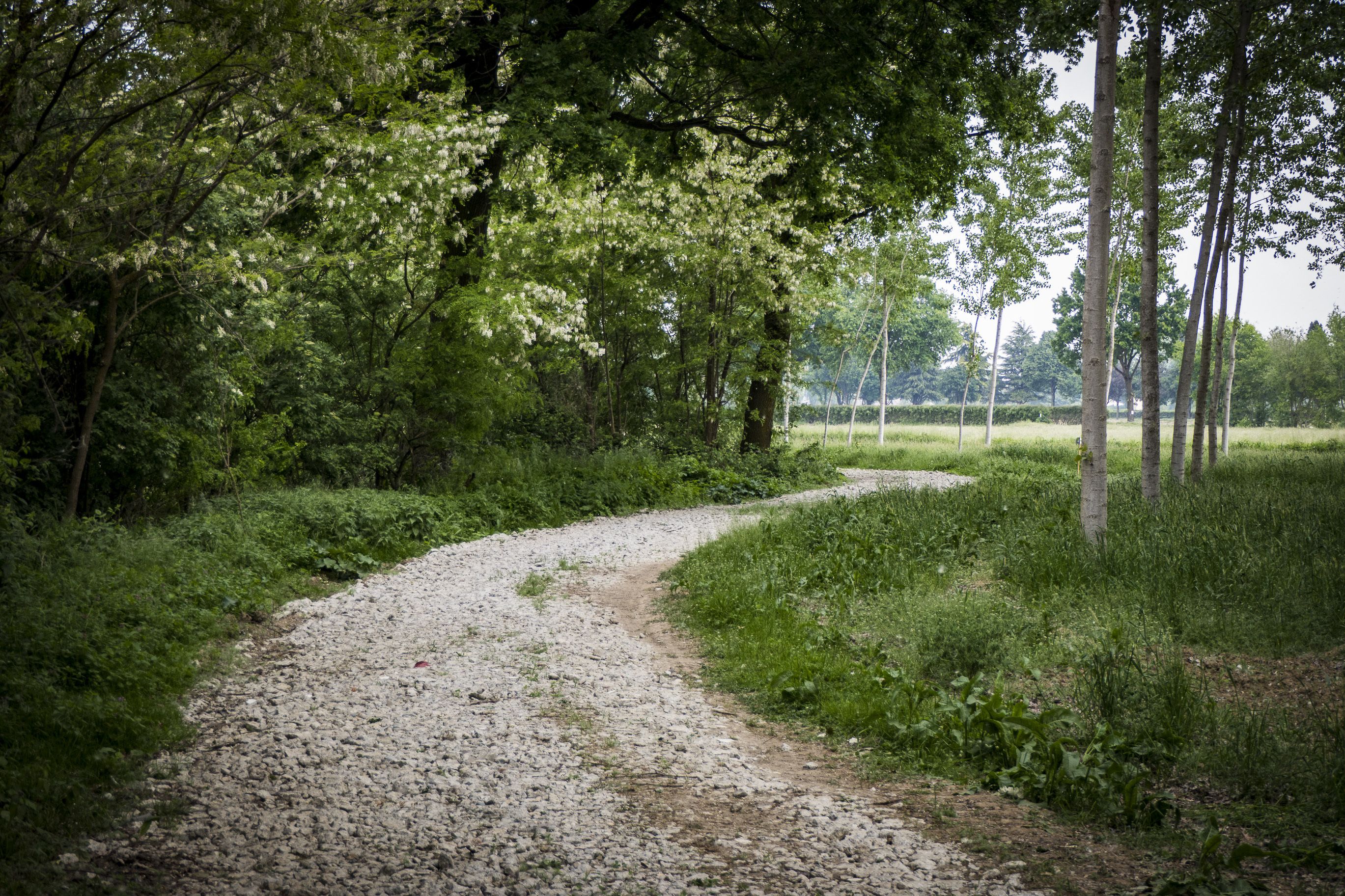 Relais Tenuta il Cigno