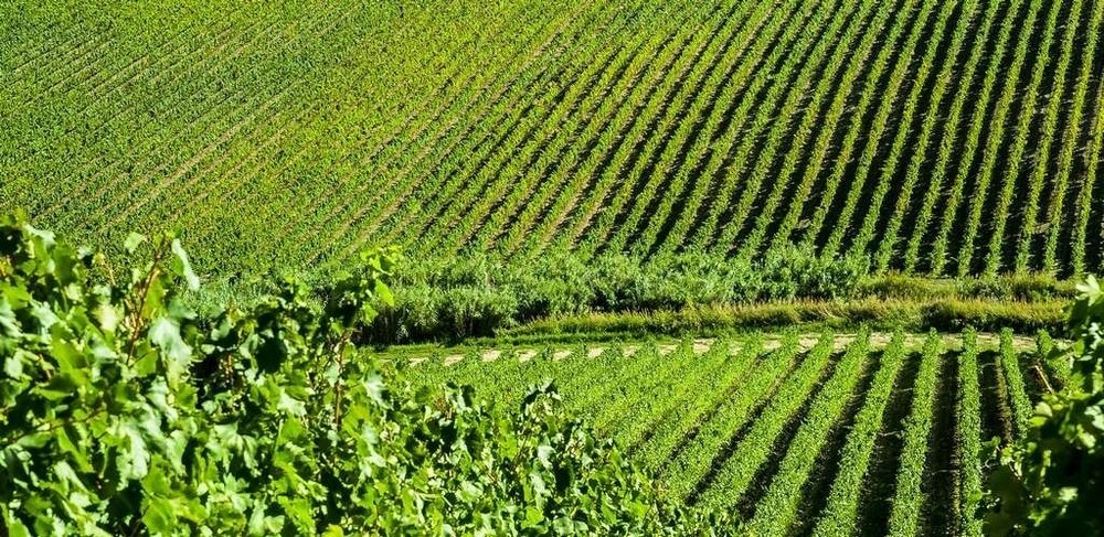 Casa Per Vacanze Da Angelina